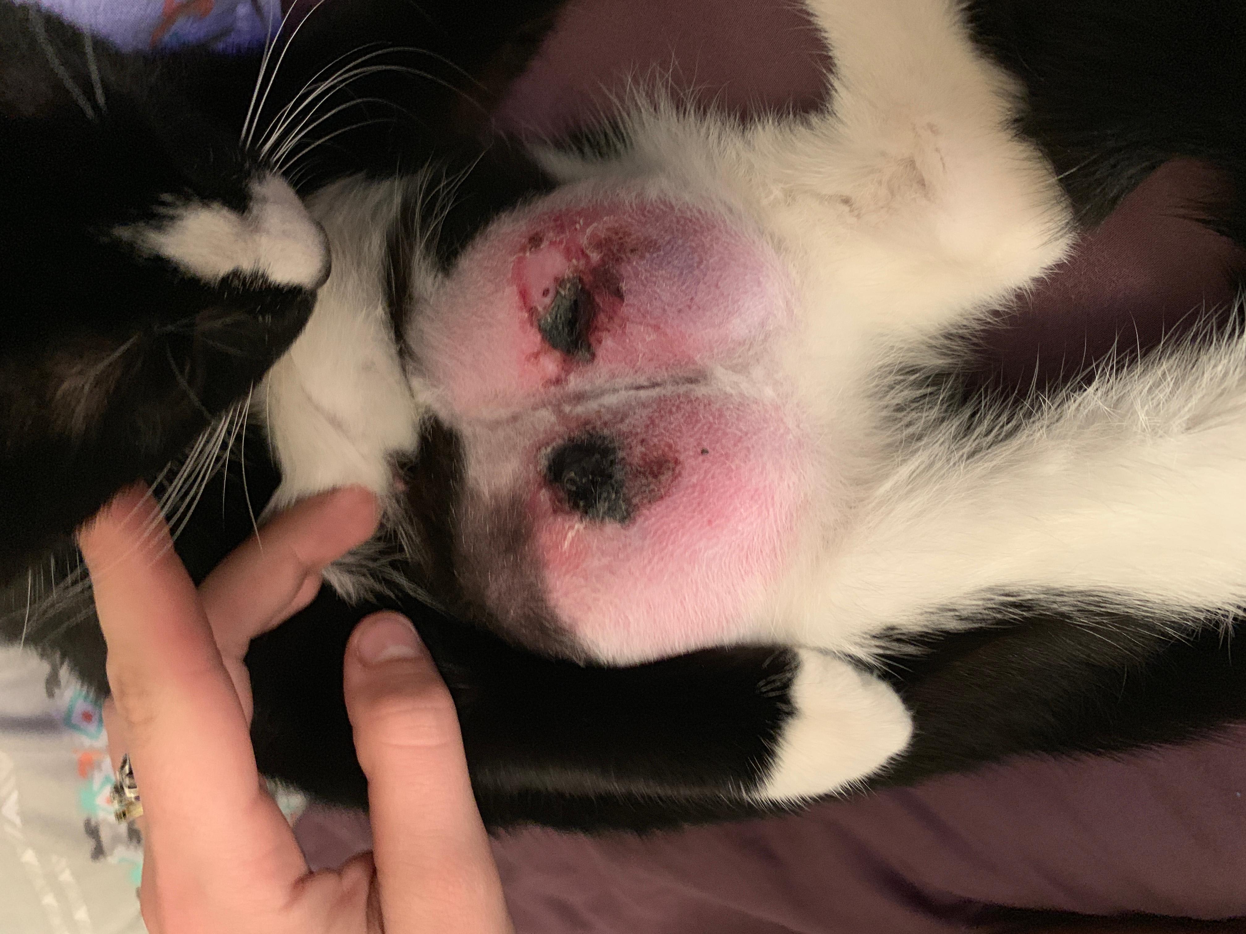 Question details sensitive content