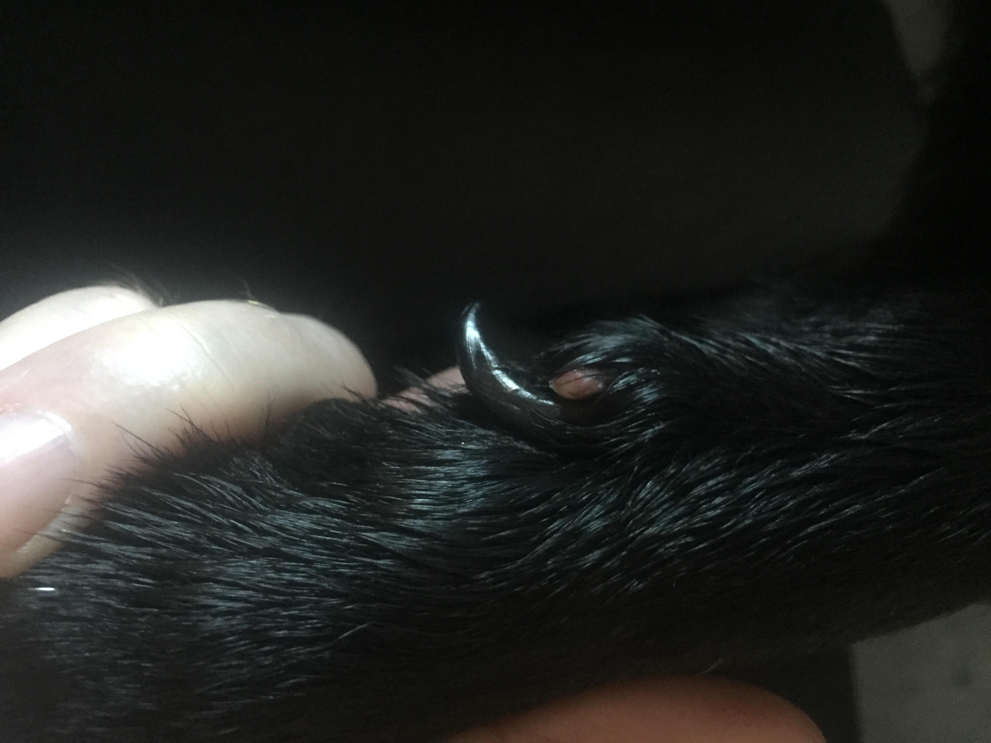 Question details sensitive content