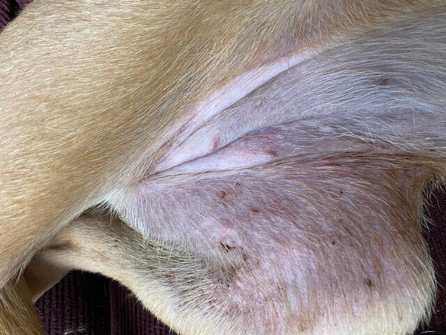 Question details sensitive content