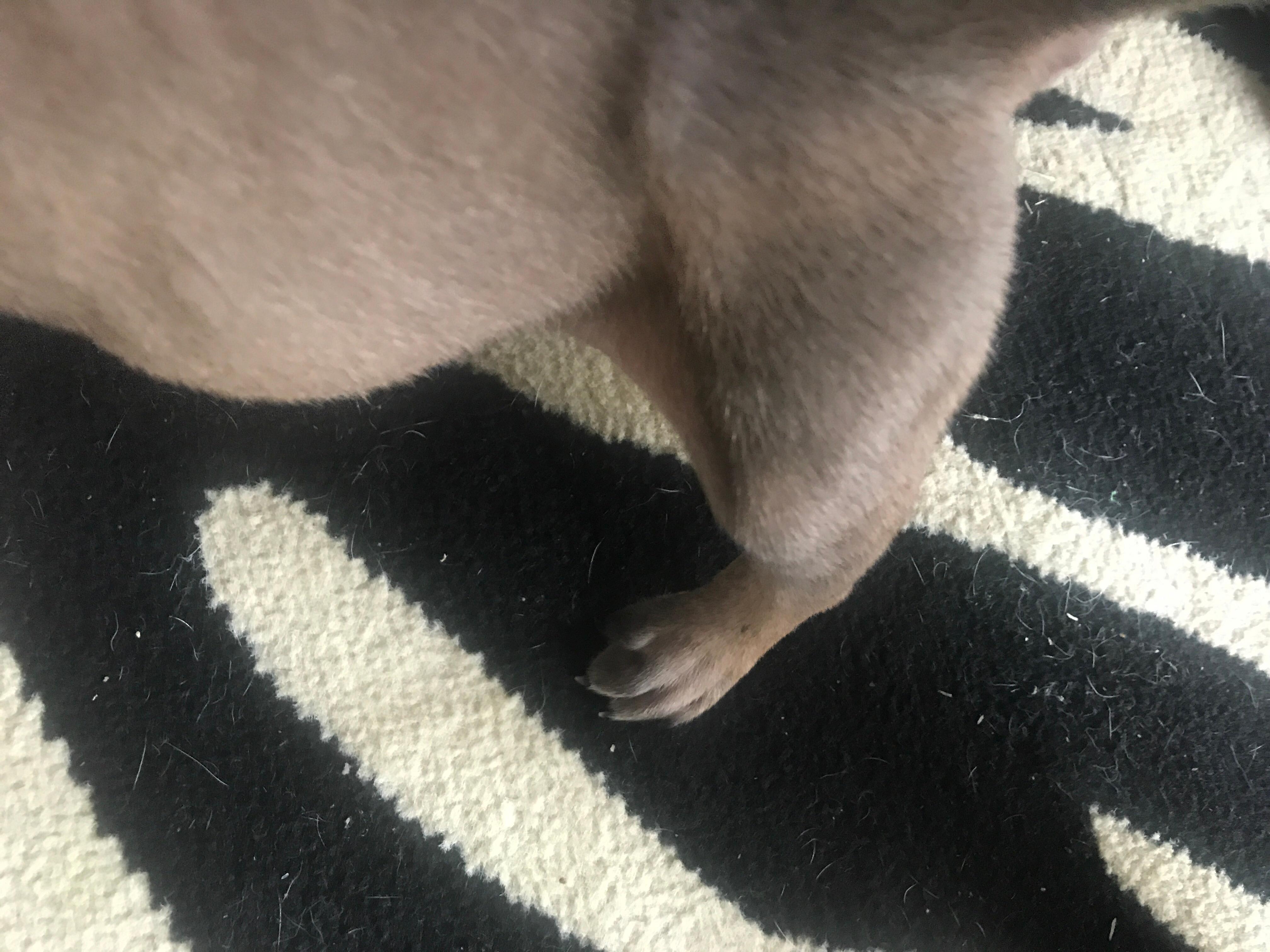 Question details sensitive content