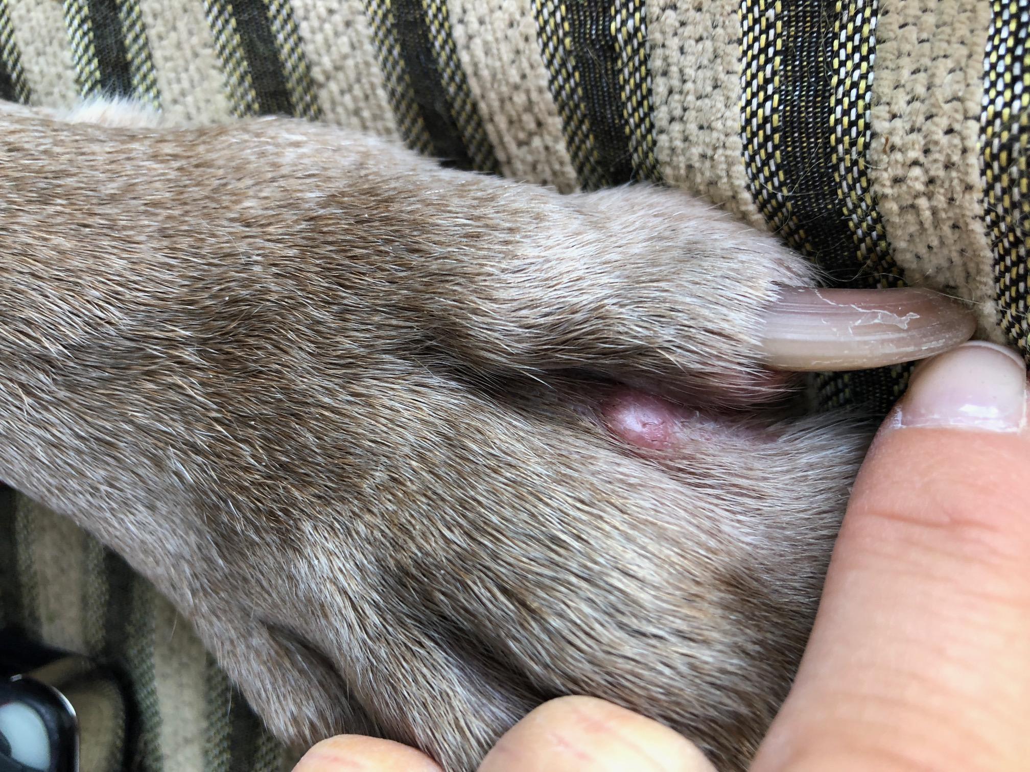 Question details sensitive content