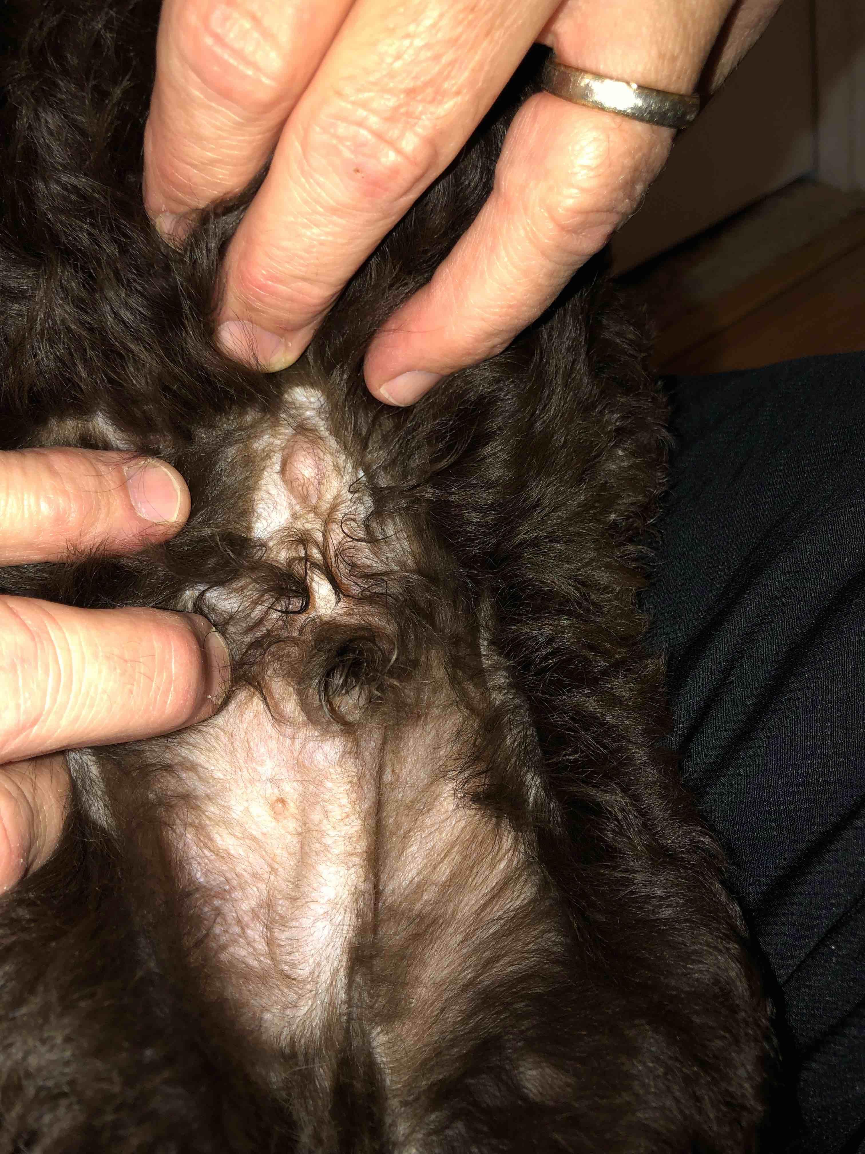 Question details sensitive content