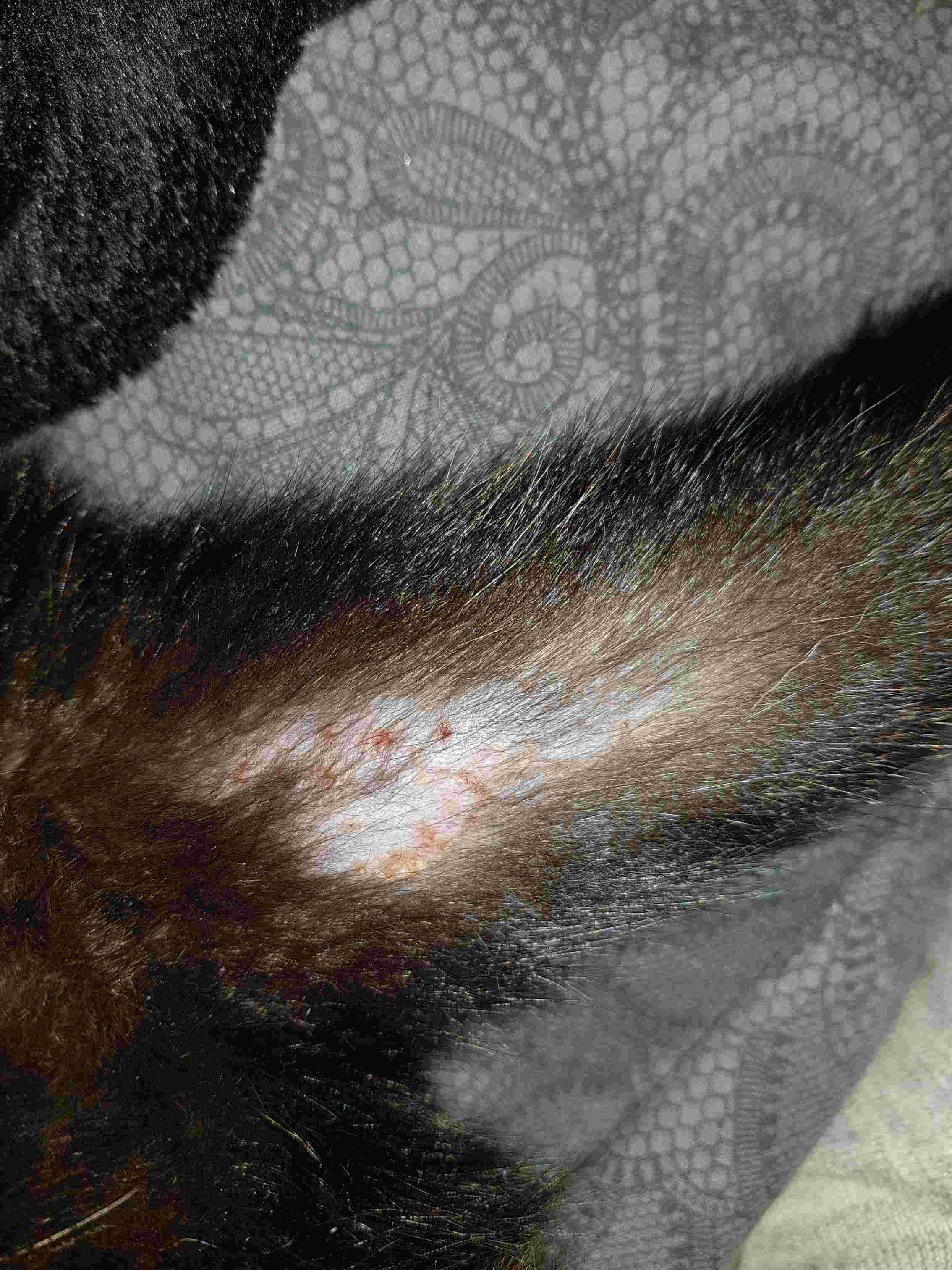 Question details sensitive content