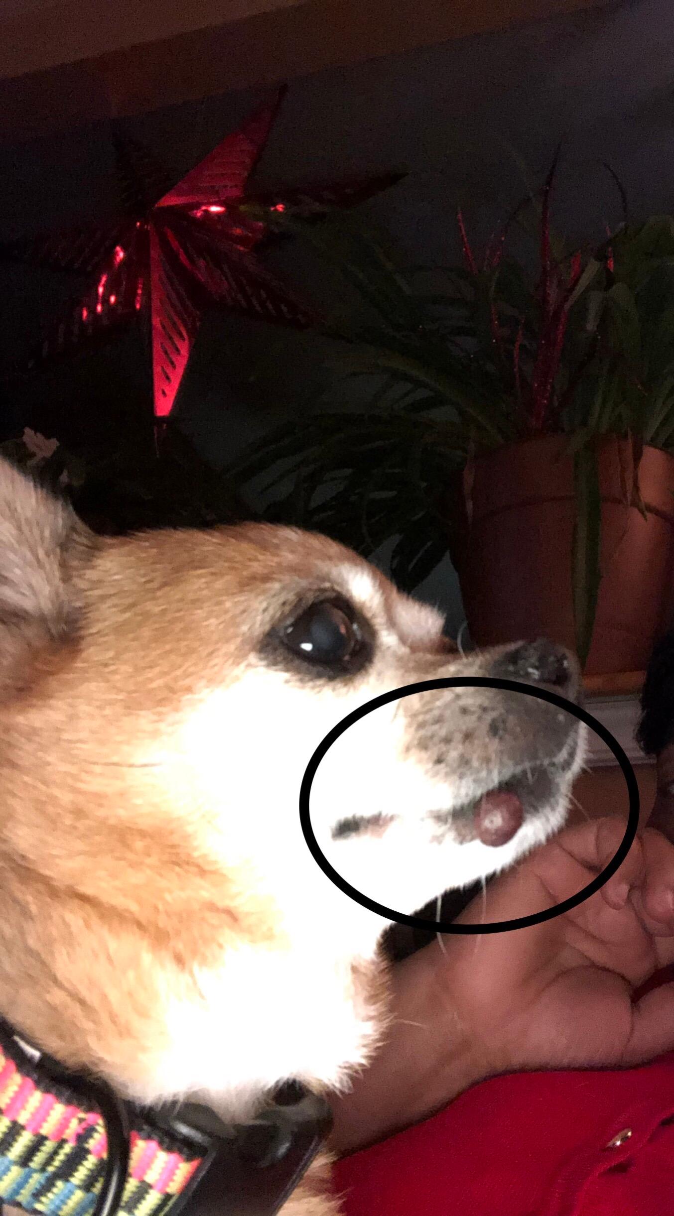 Question details sensitive content