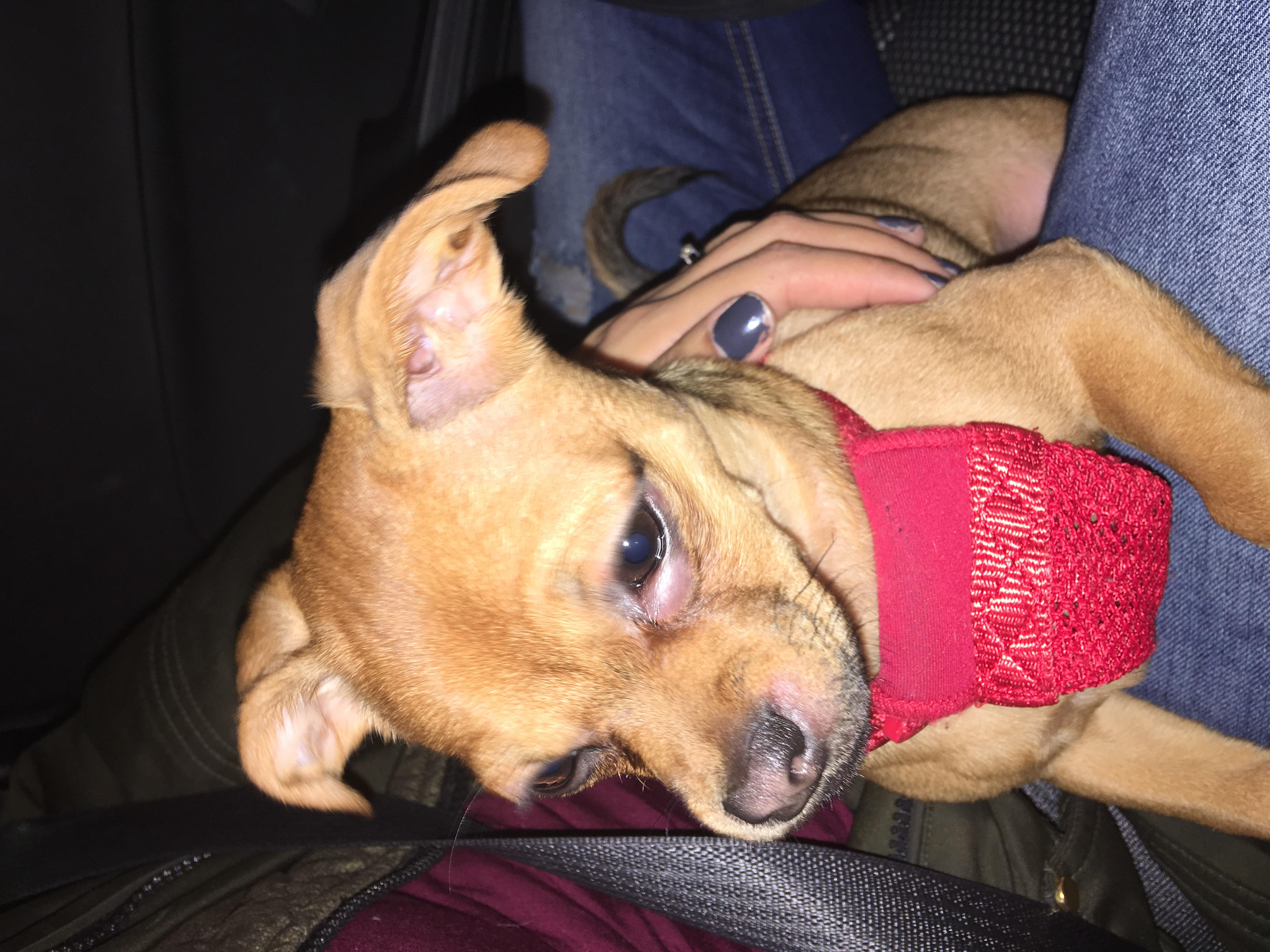 Question details sensitive content