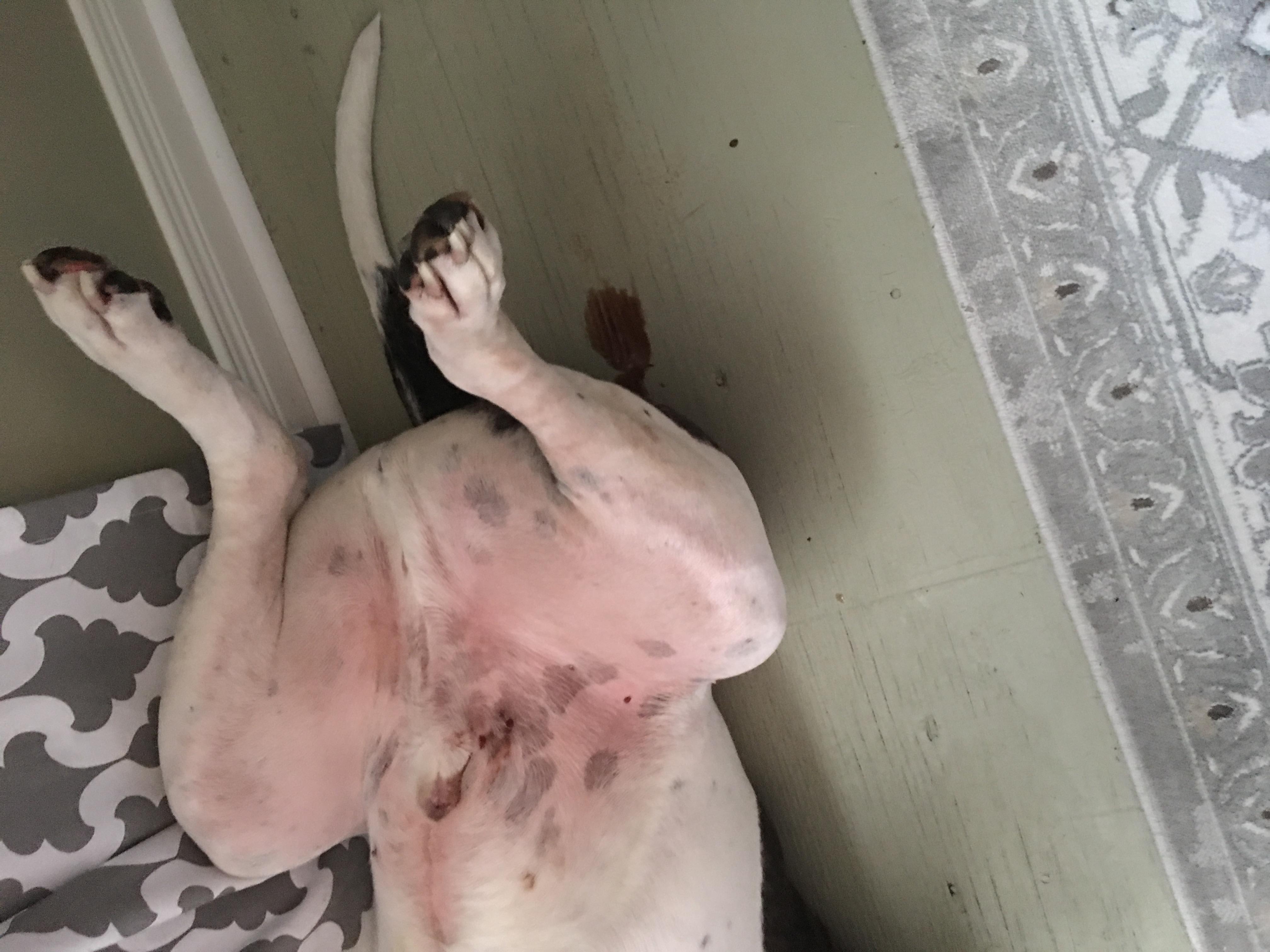 Question details sensitive content