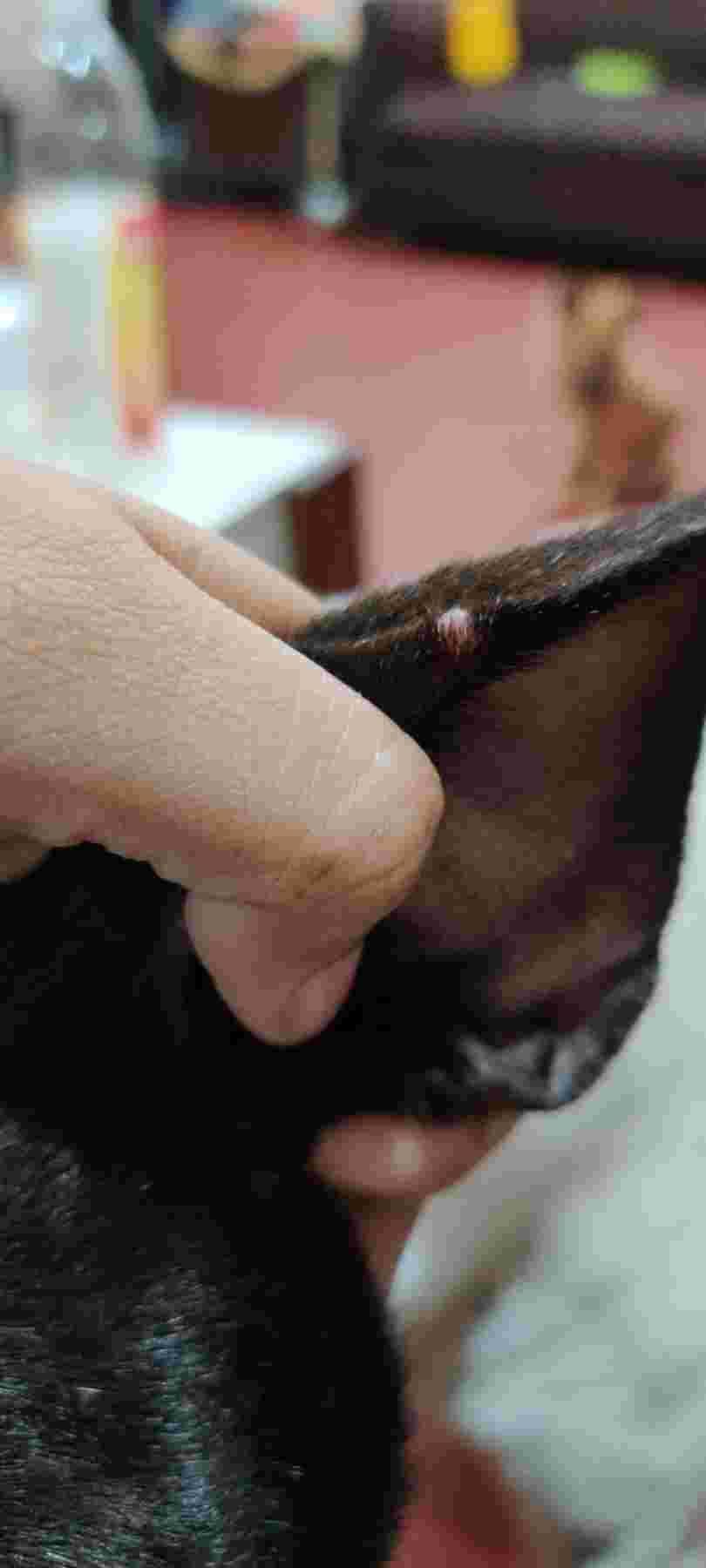 Question details sensitive content