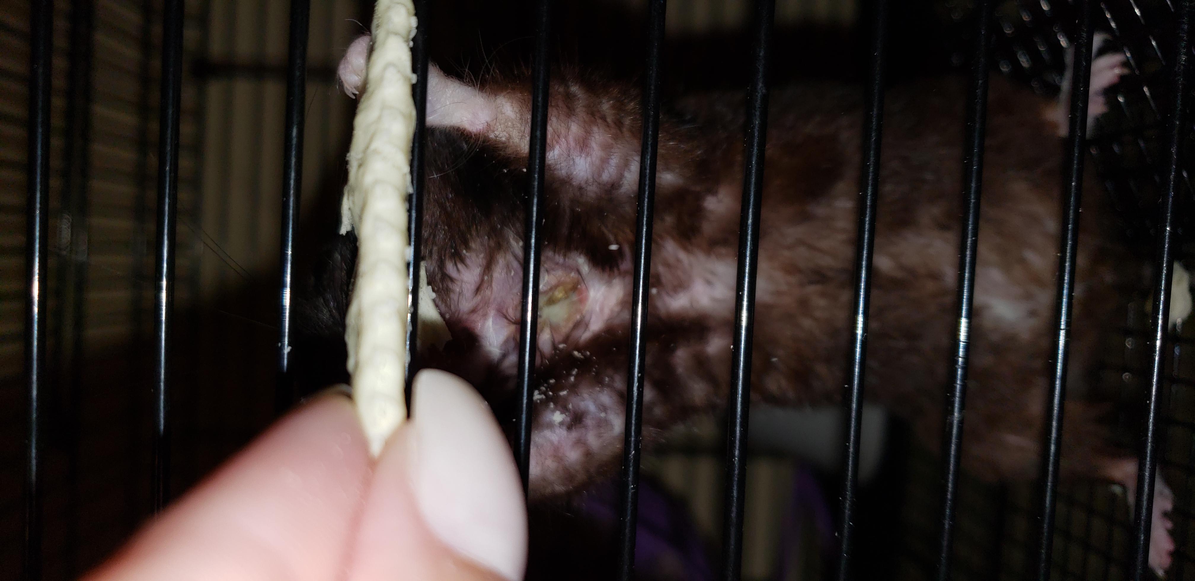 Question details sensitive content