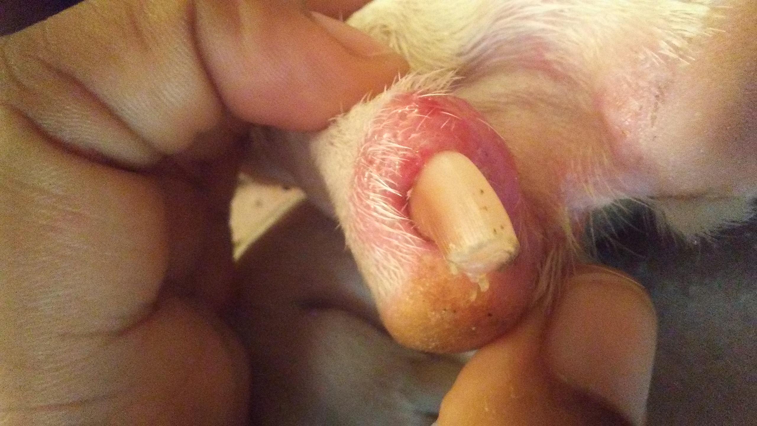 Question details sensitive content