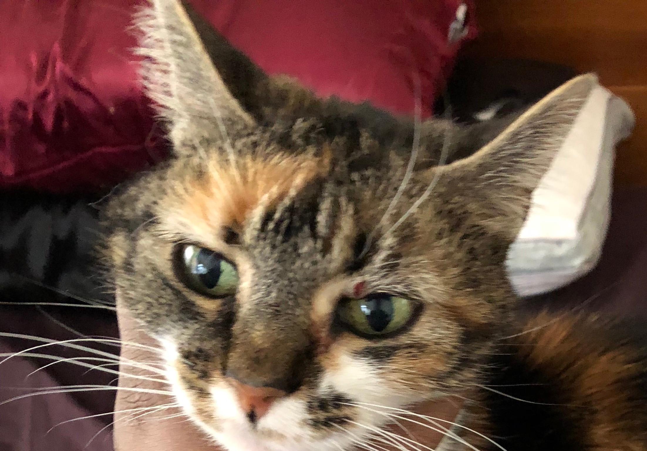 Question details sensitive content