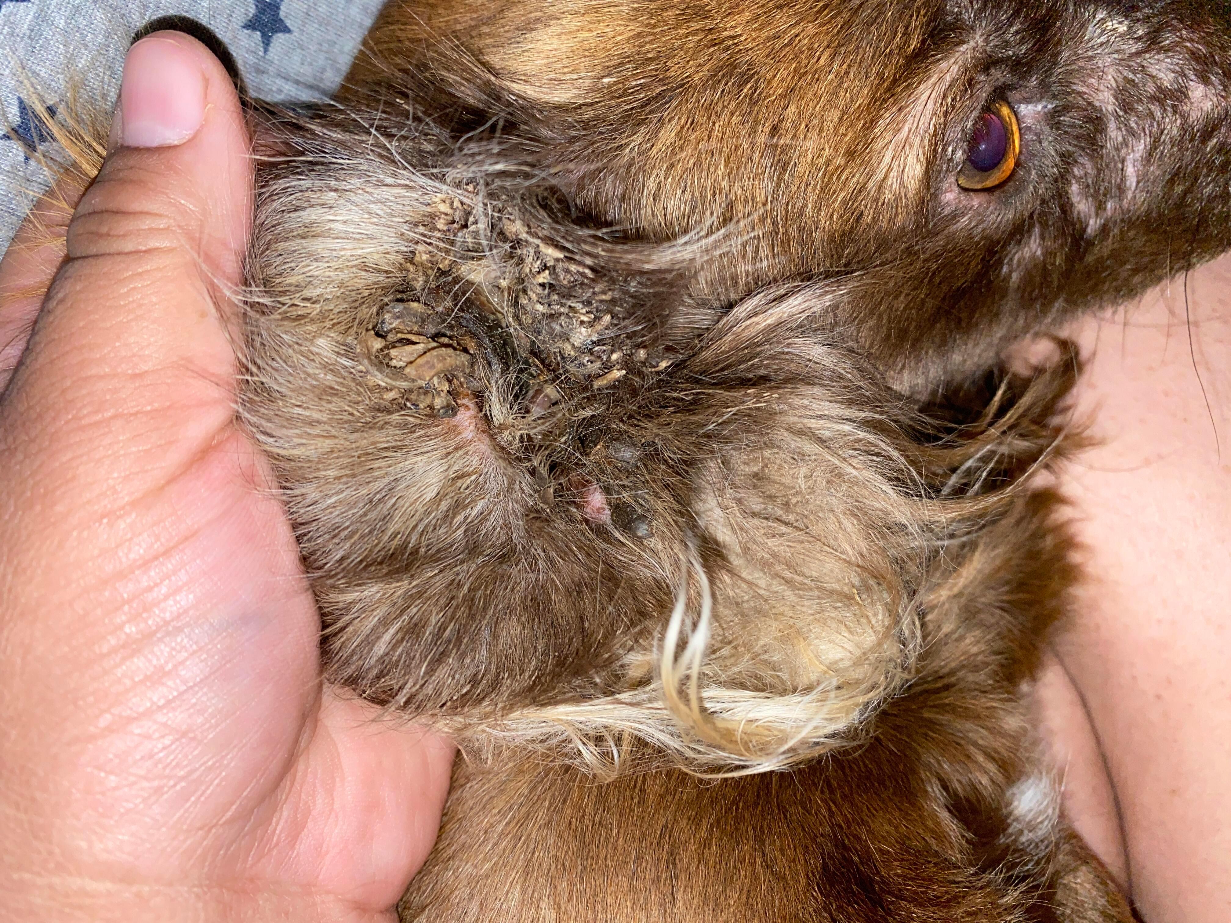 Question details sensitive content