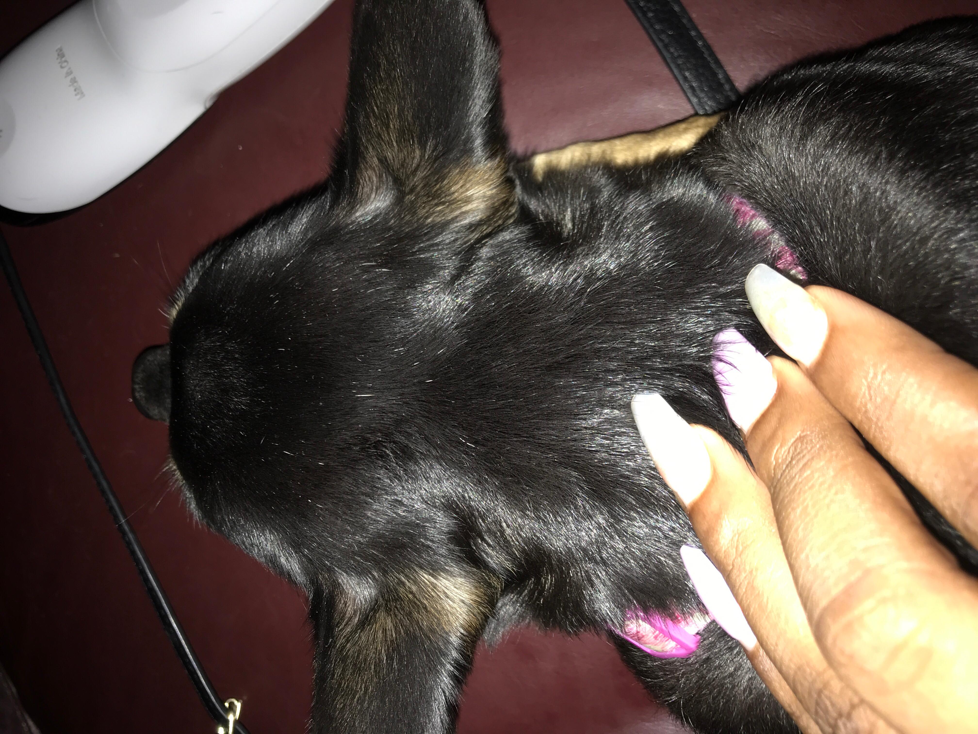 Question details sensitive content