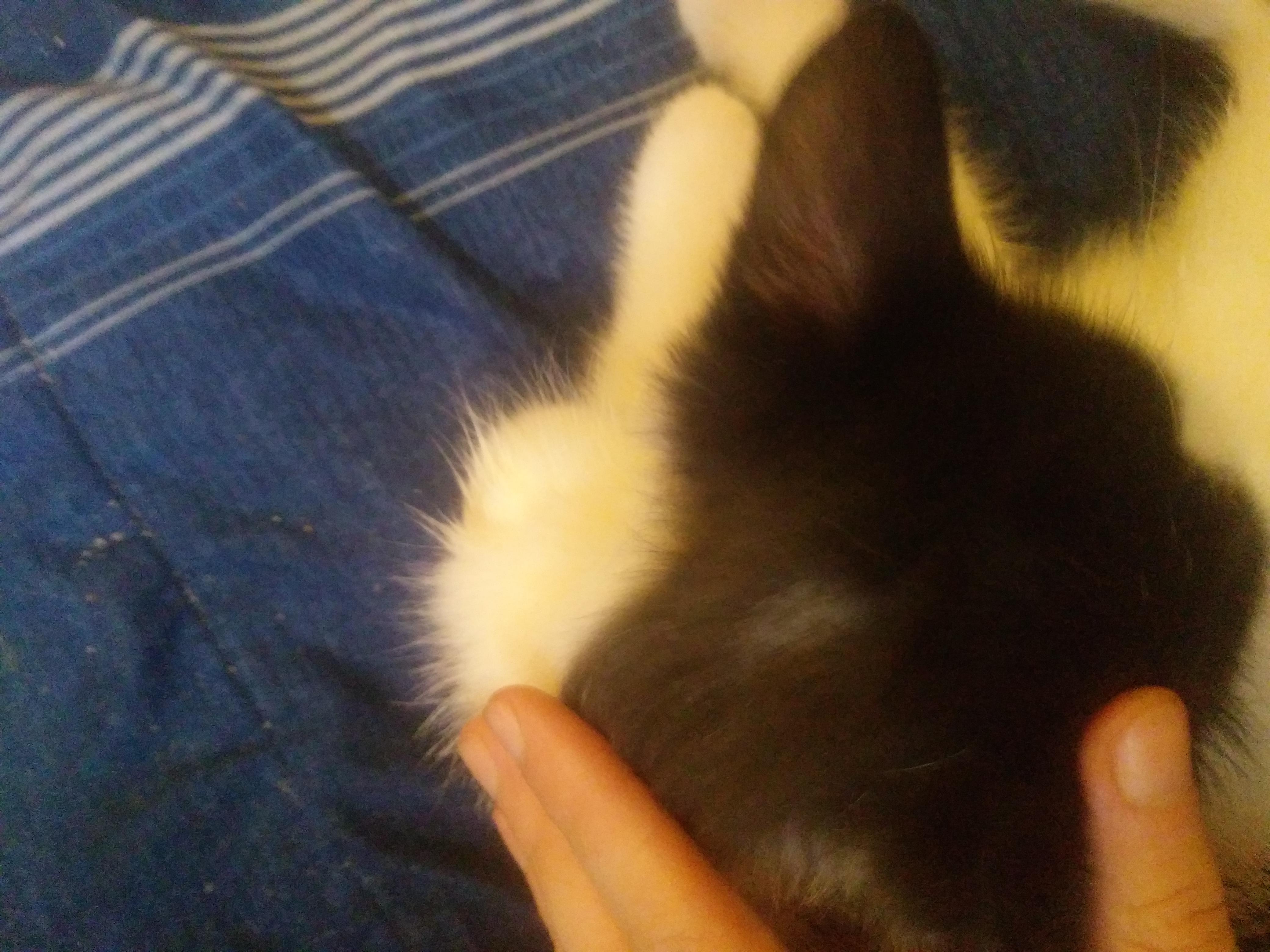 Question details sensitive content