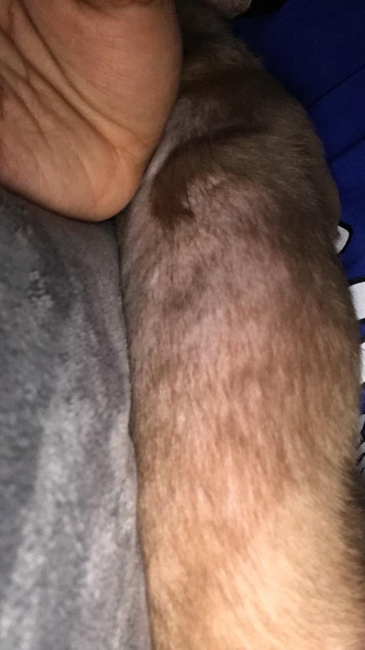 Question details sensitive content