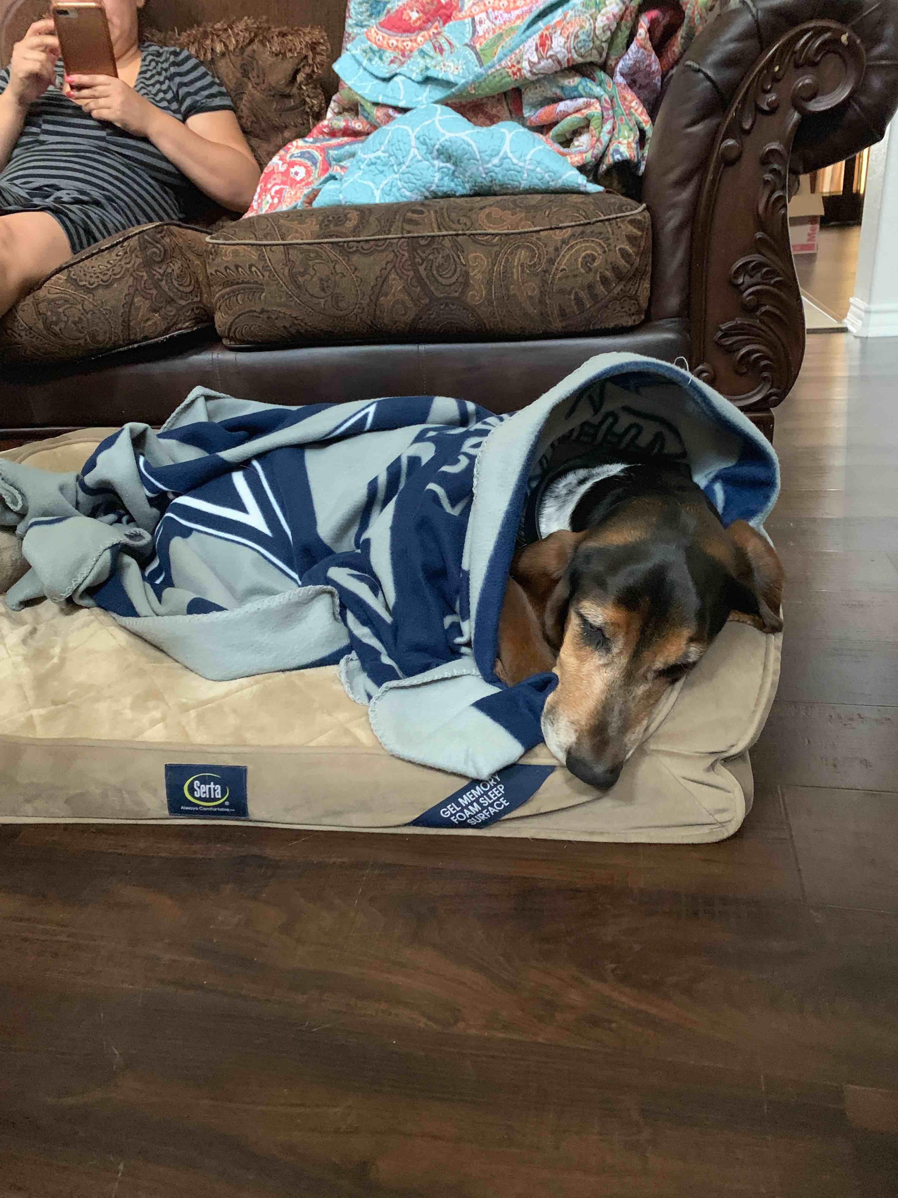 Question details sensitive content