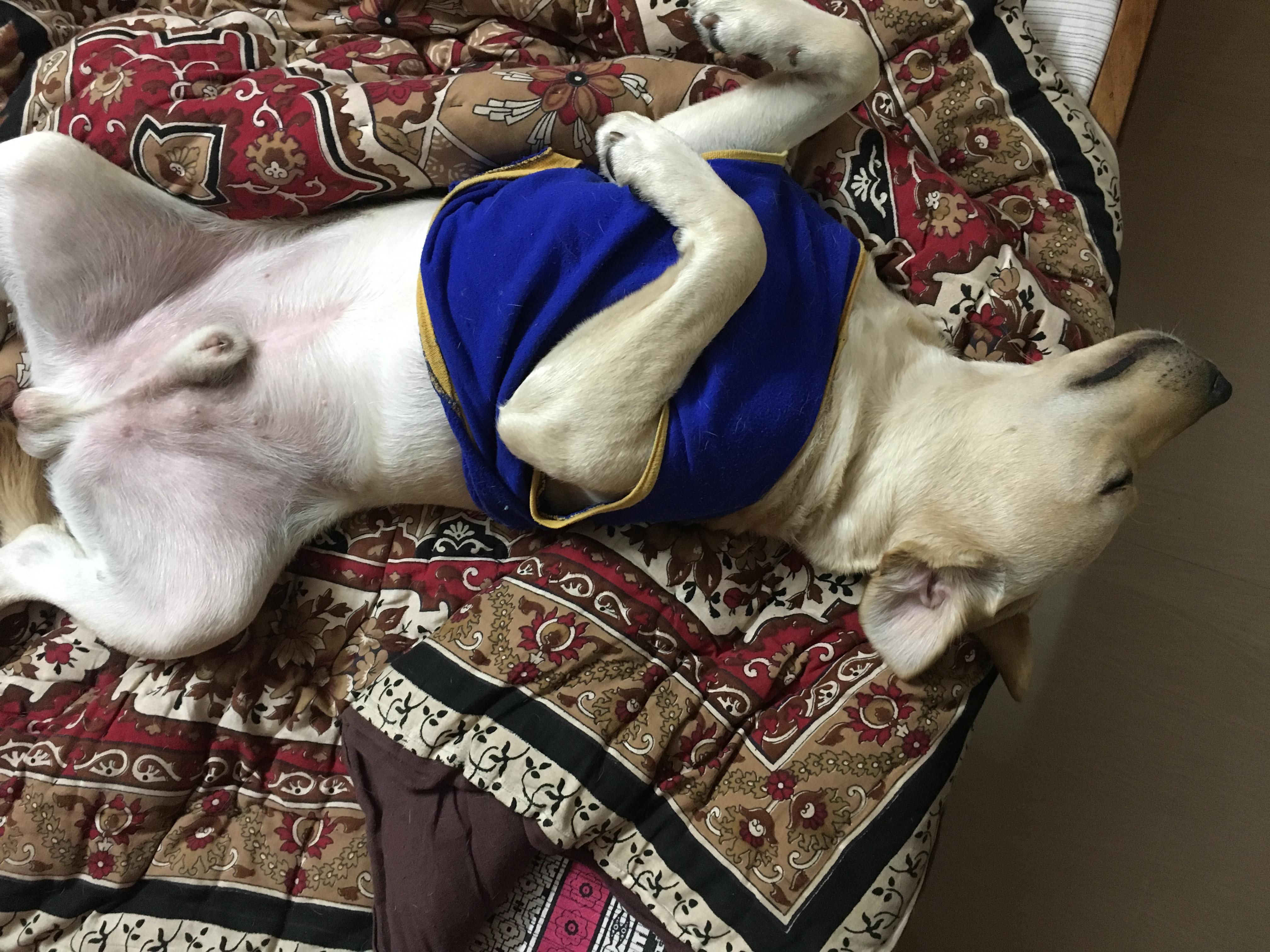 Question details sensitive content