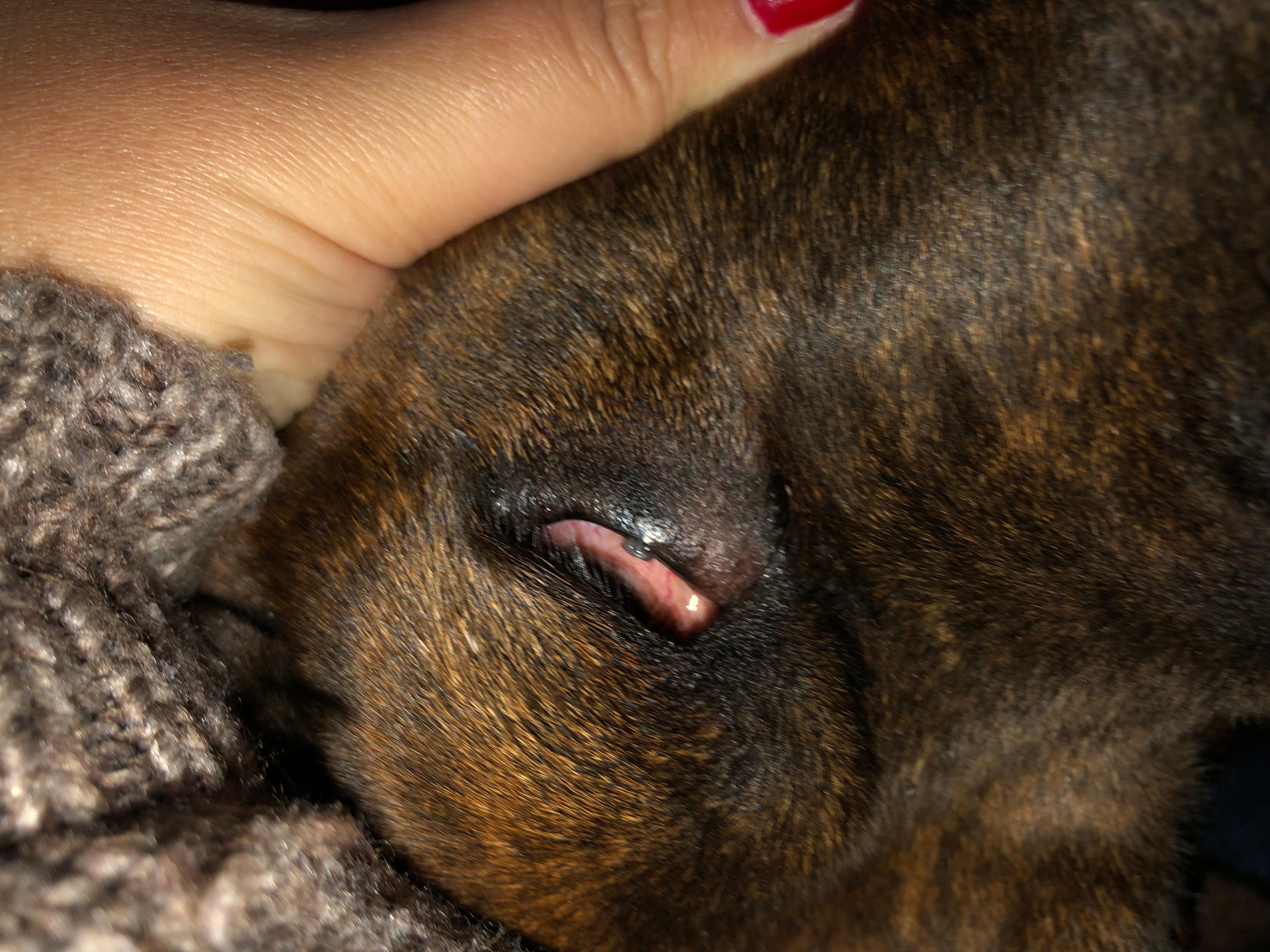 Question details sensitive content