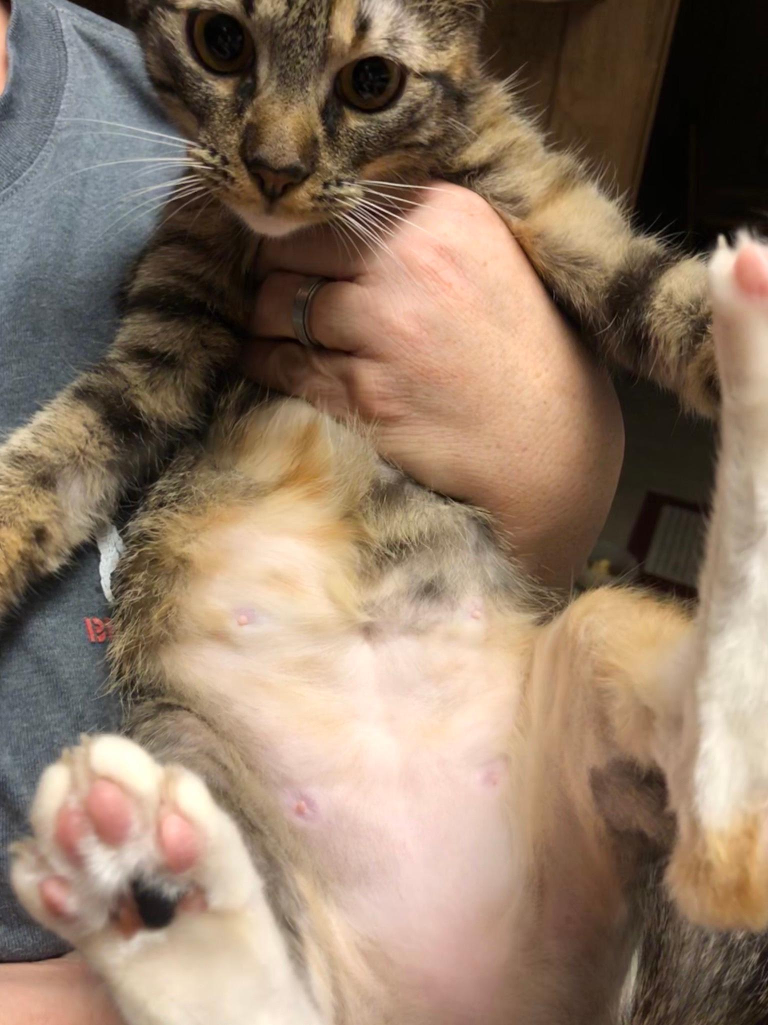 Question details sensitive content