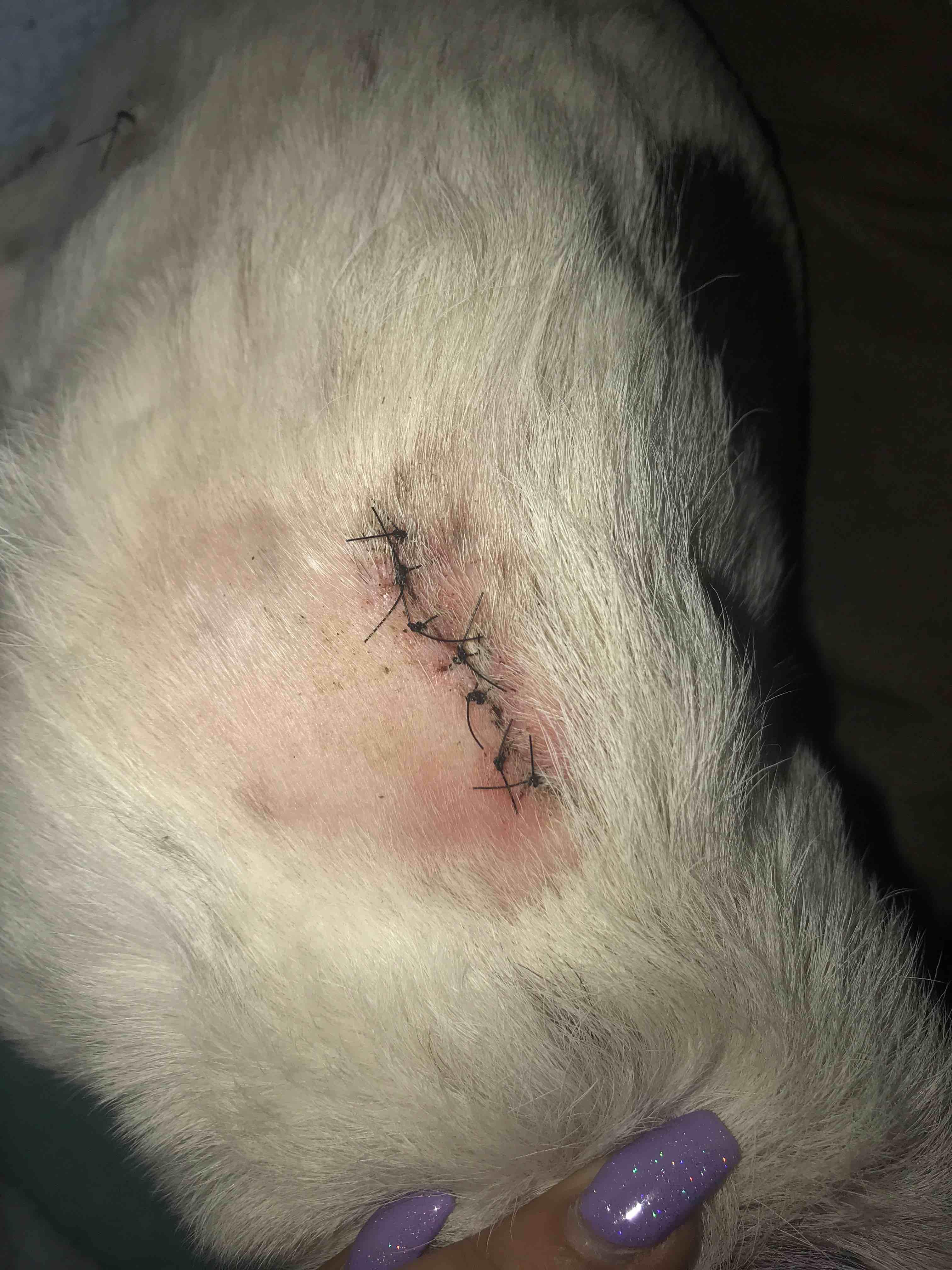 Question details sensitive content