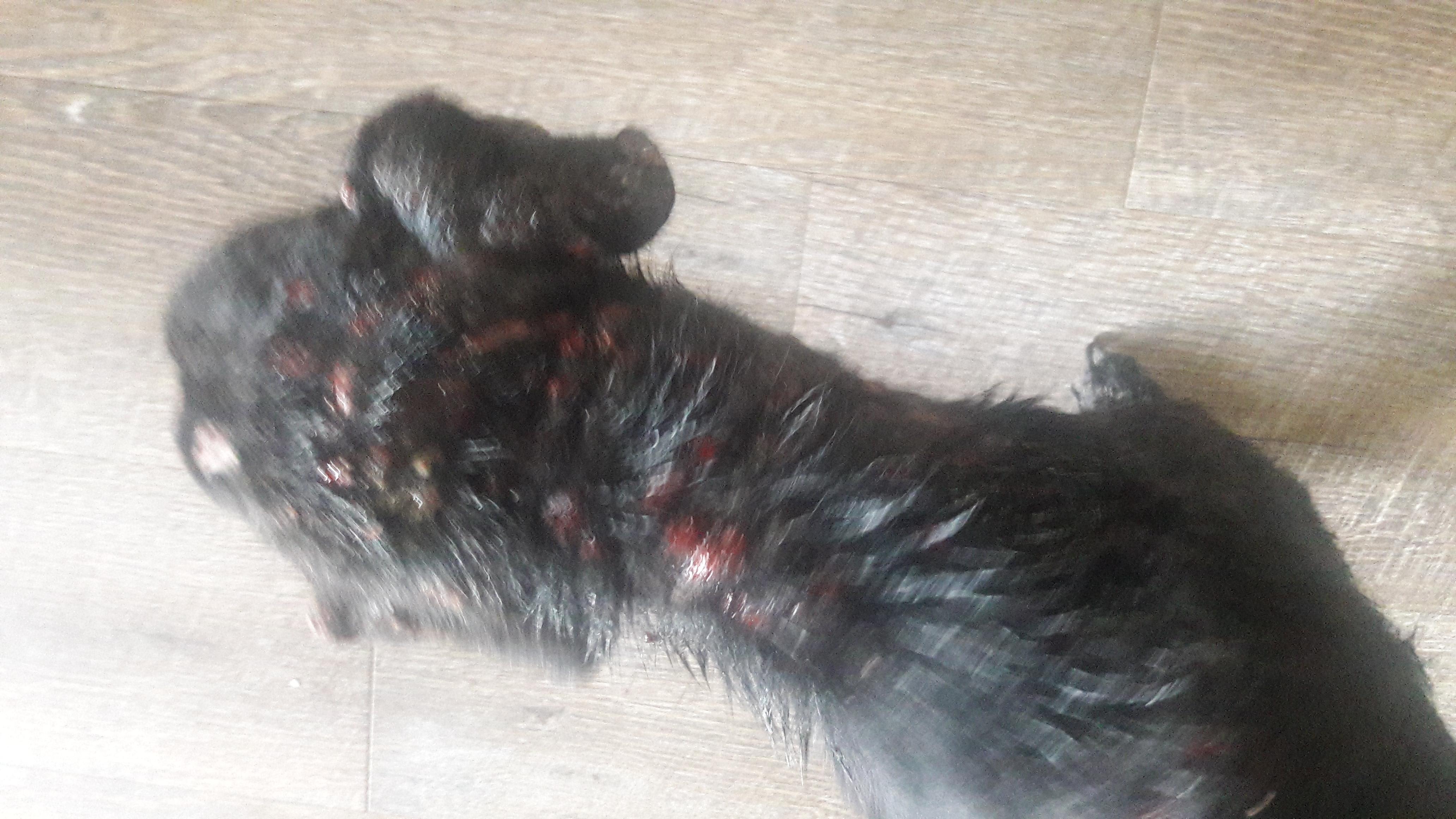 Question details sensitive content