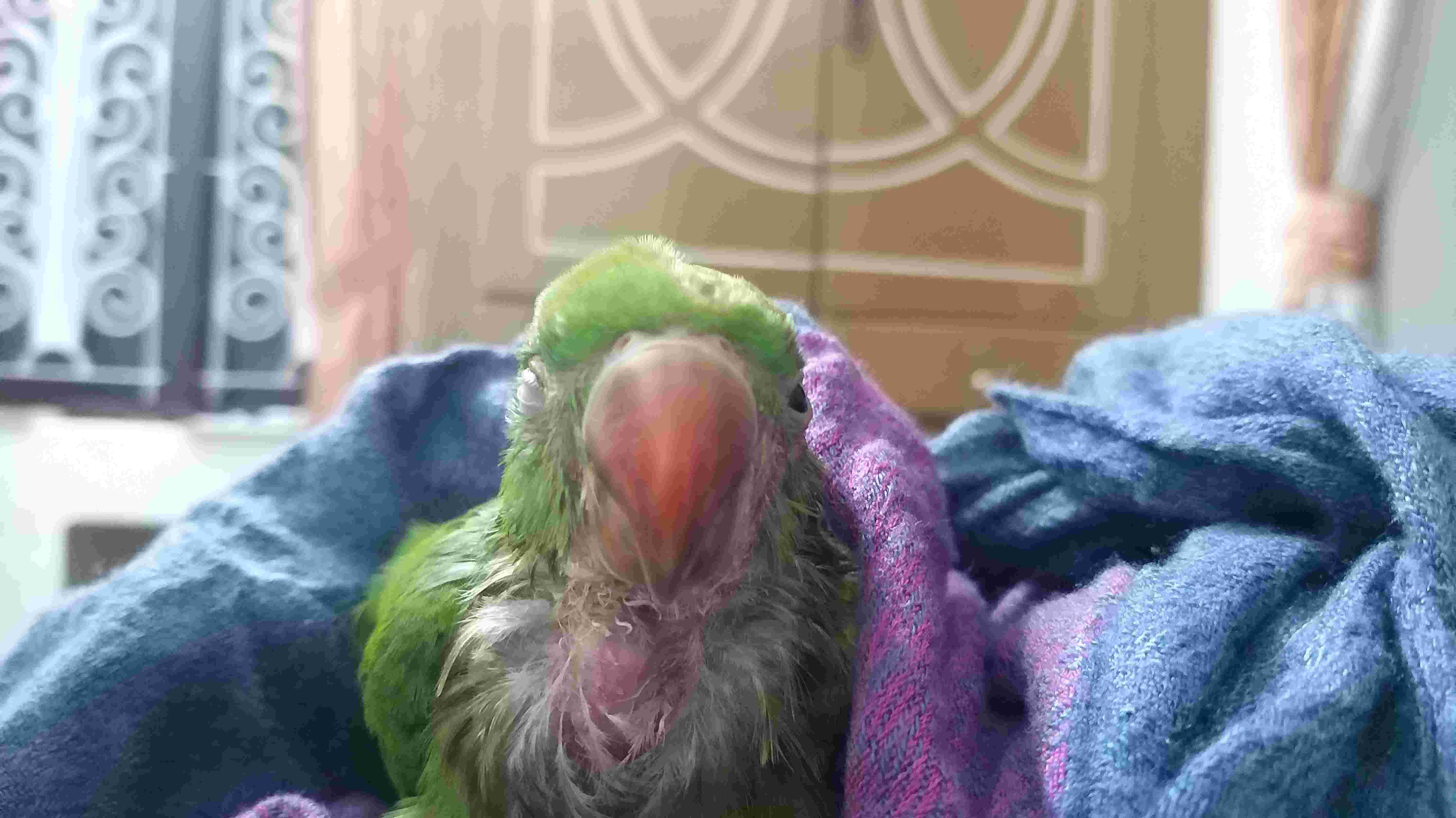 Question details sensitive content