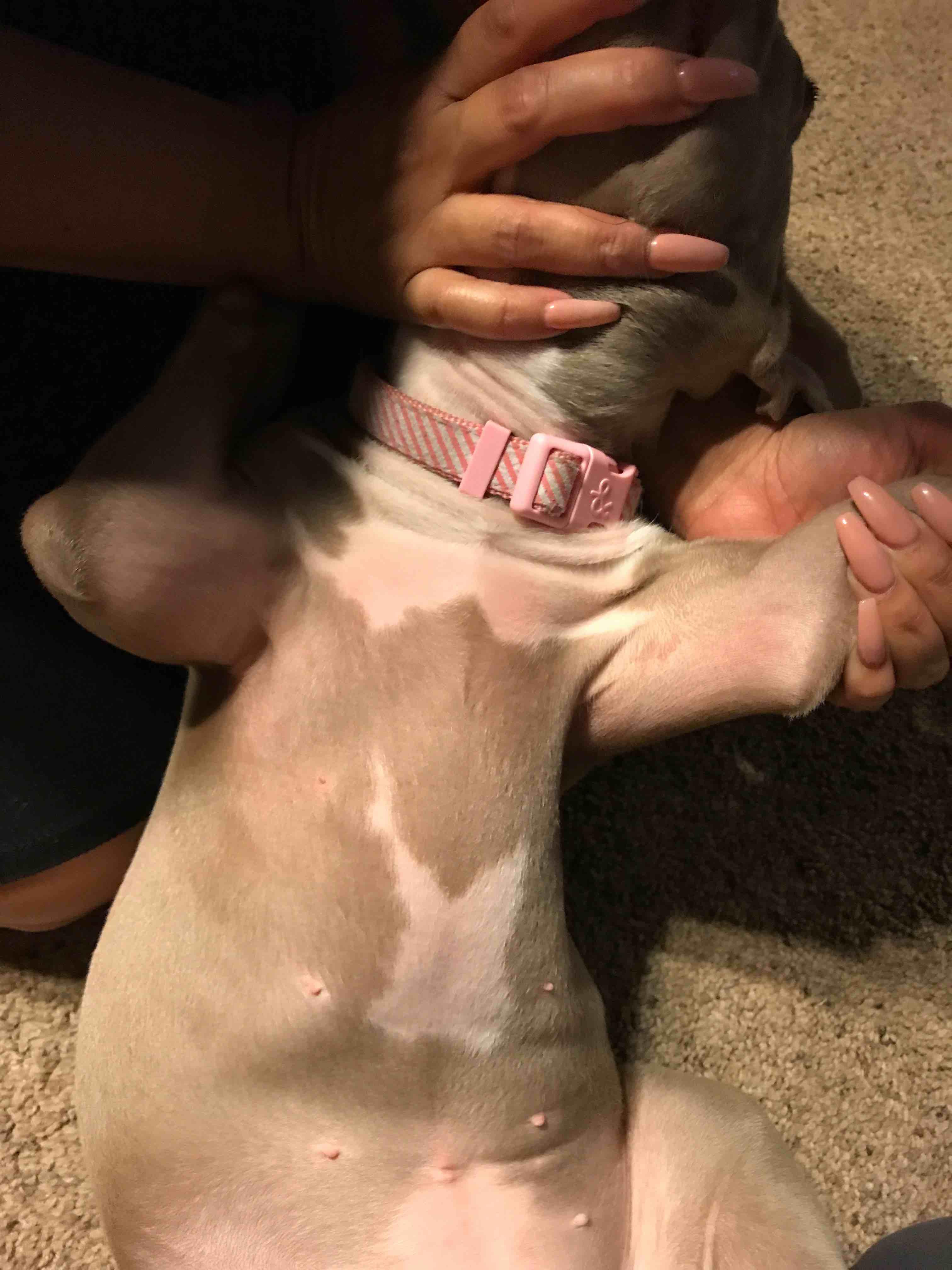 Question details sensitive content