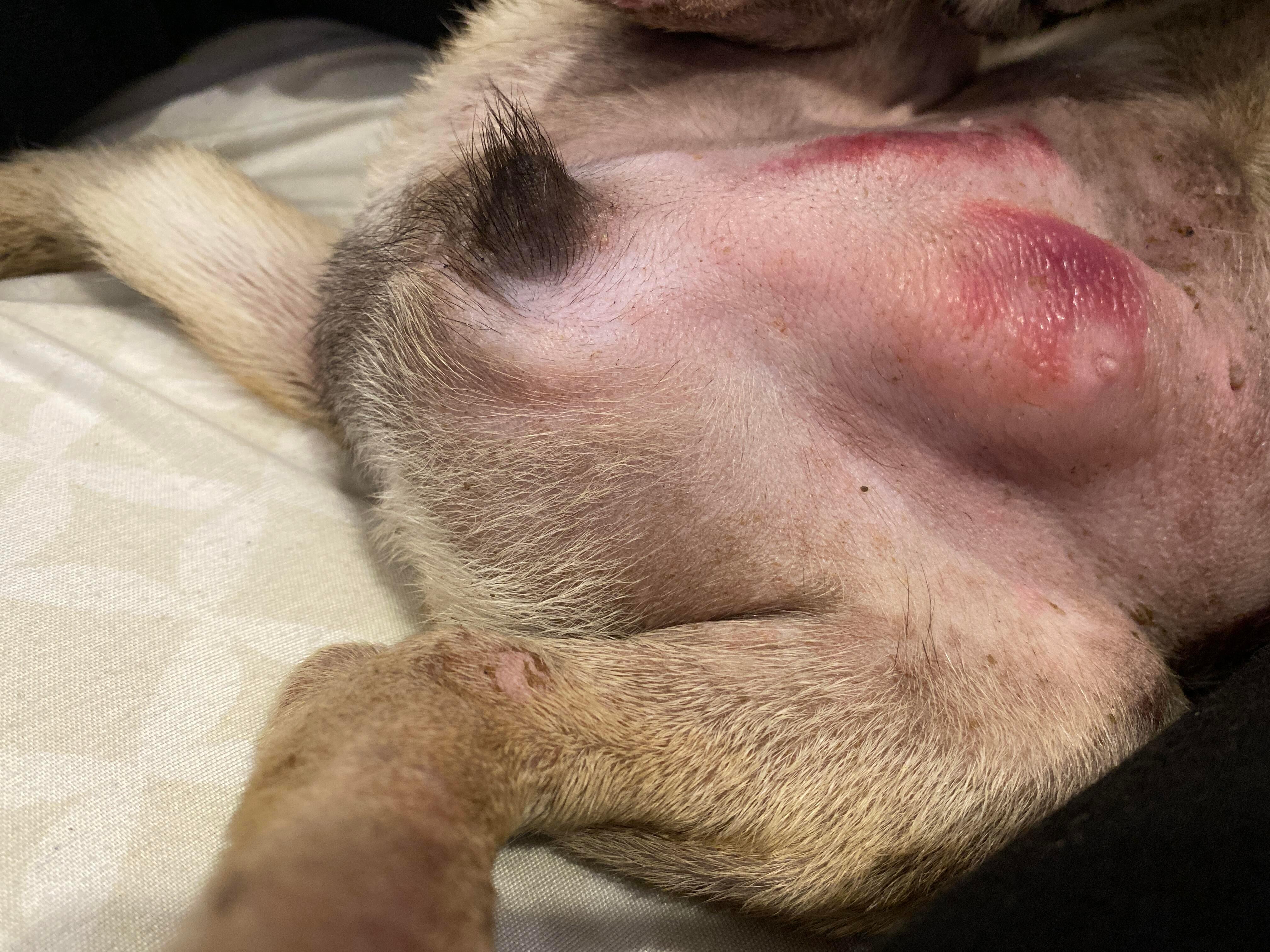 Question details sensitive content