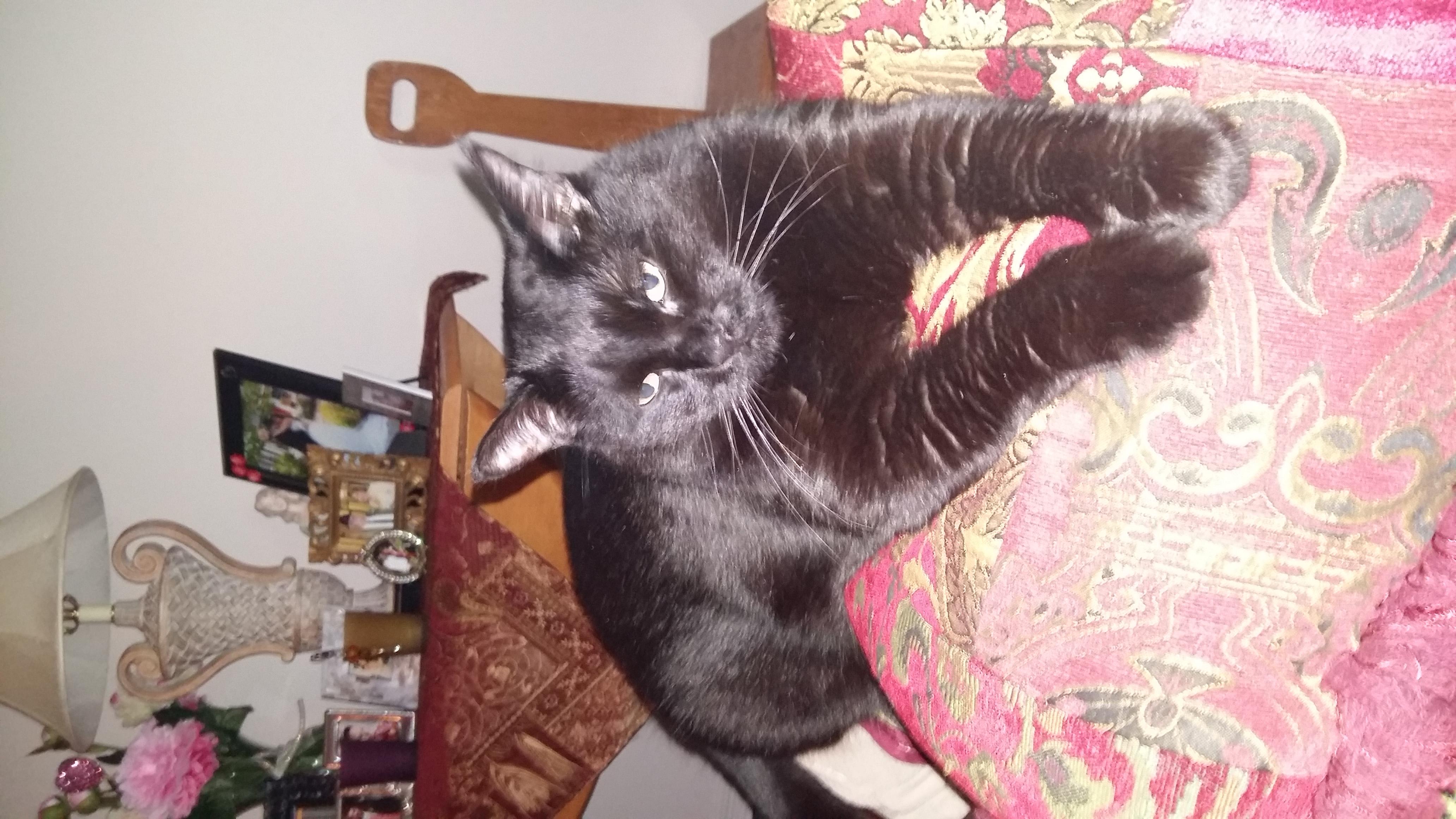 Question details sensitive content