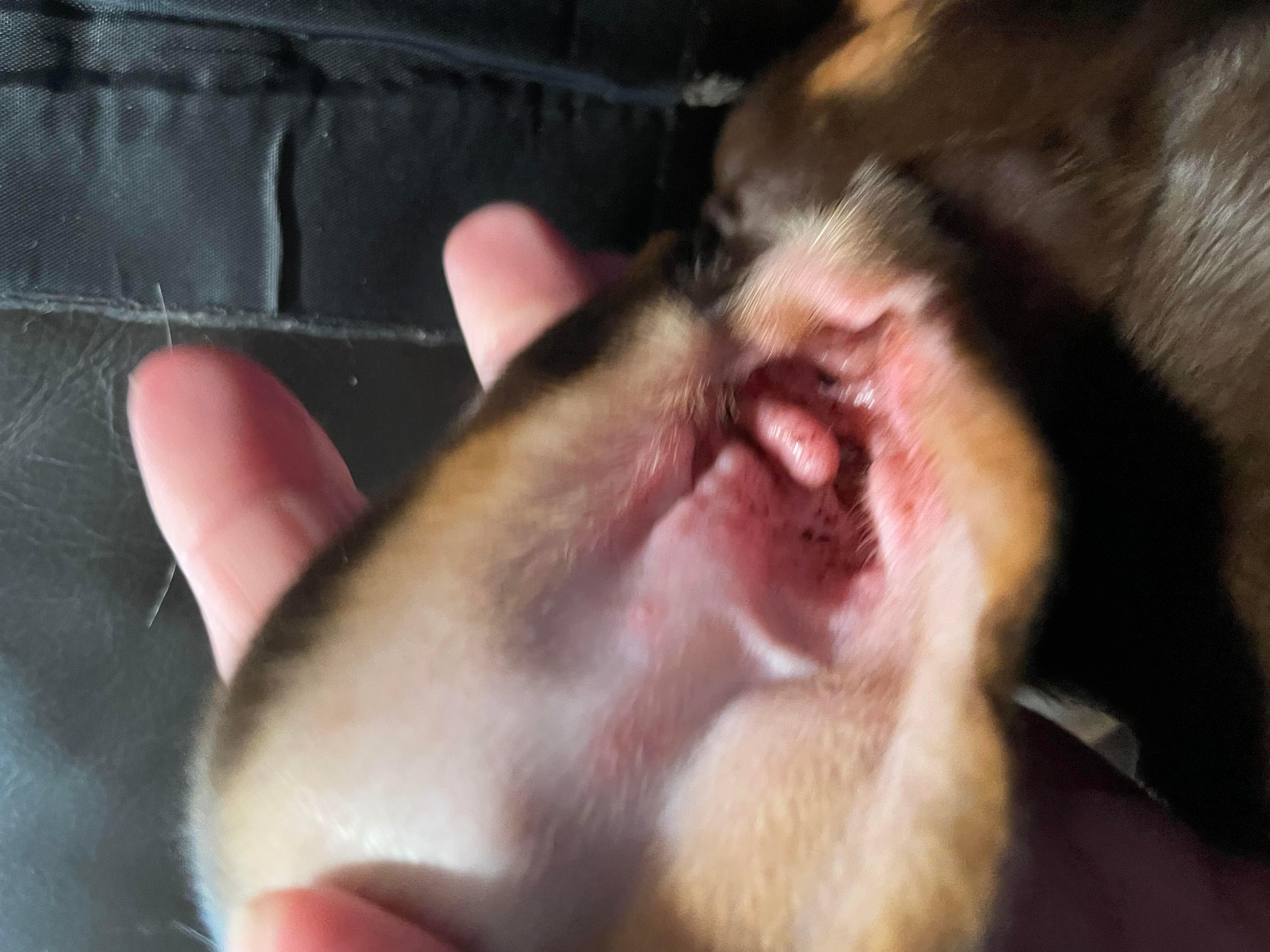 Question details sensitive content