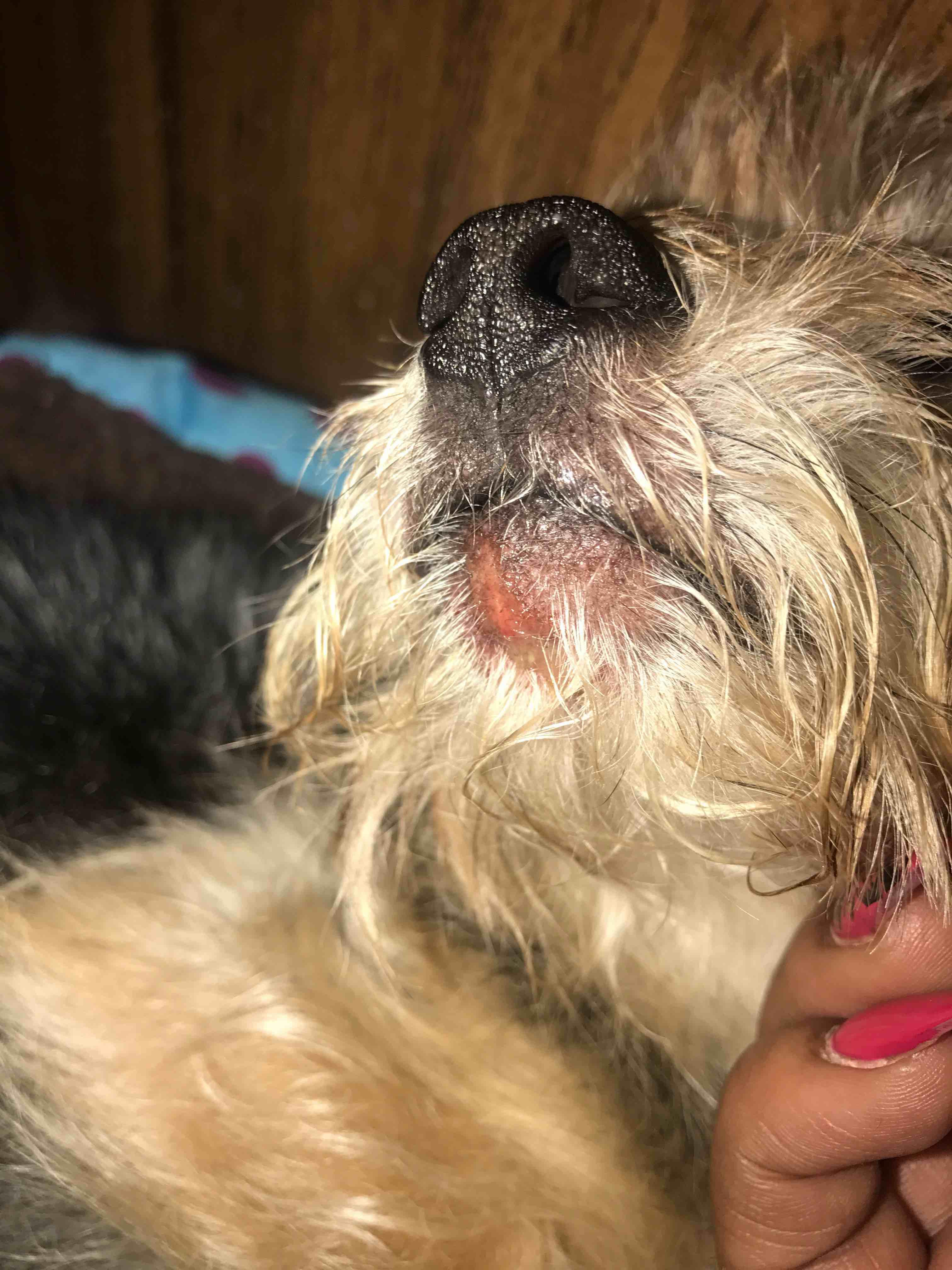 Question details sensitive content