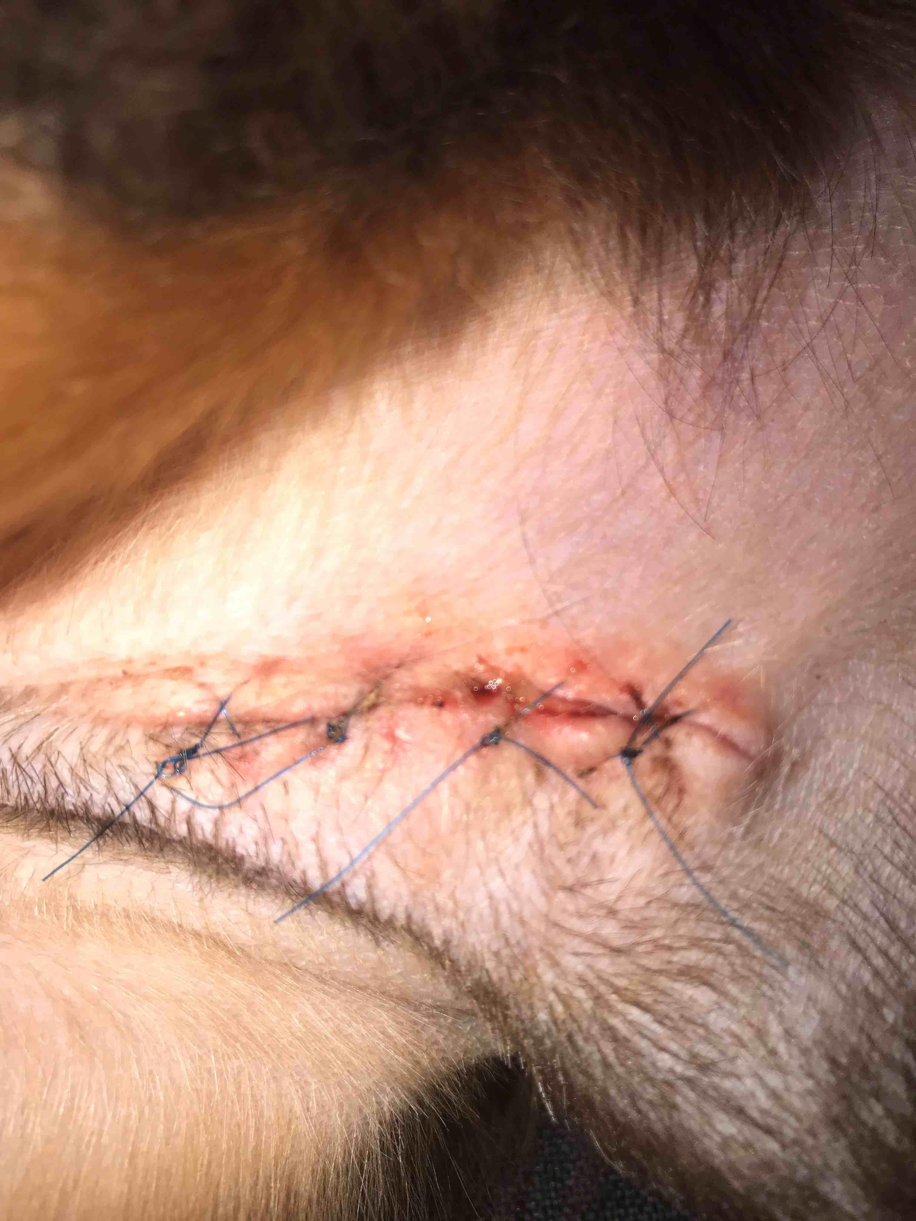 Question details sensitive content