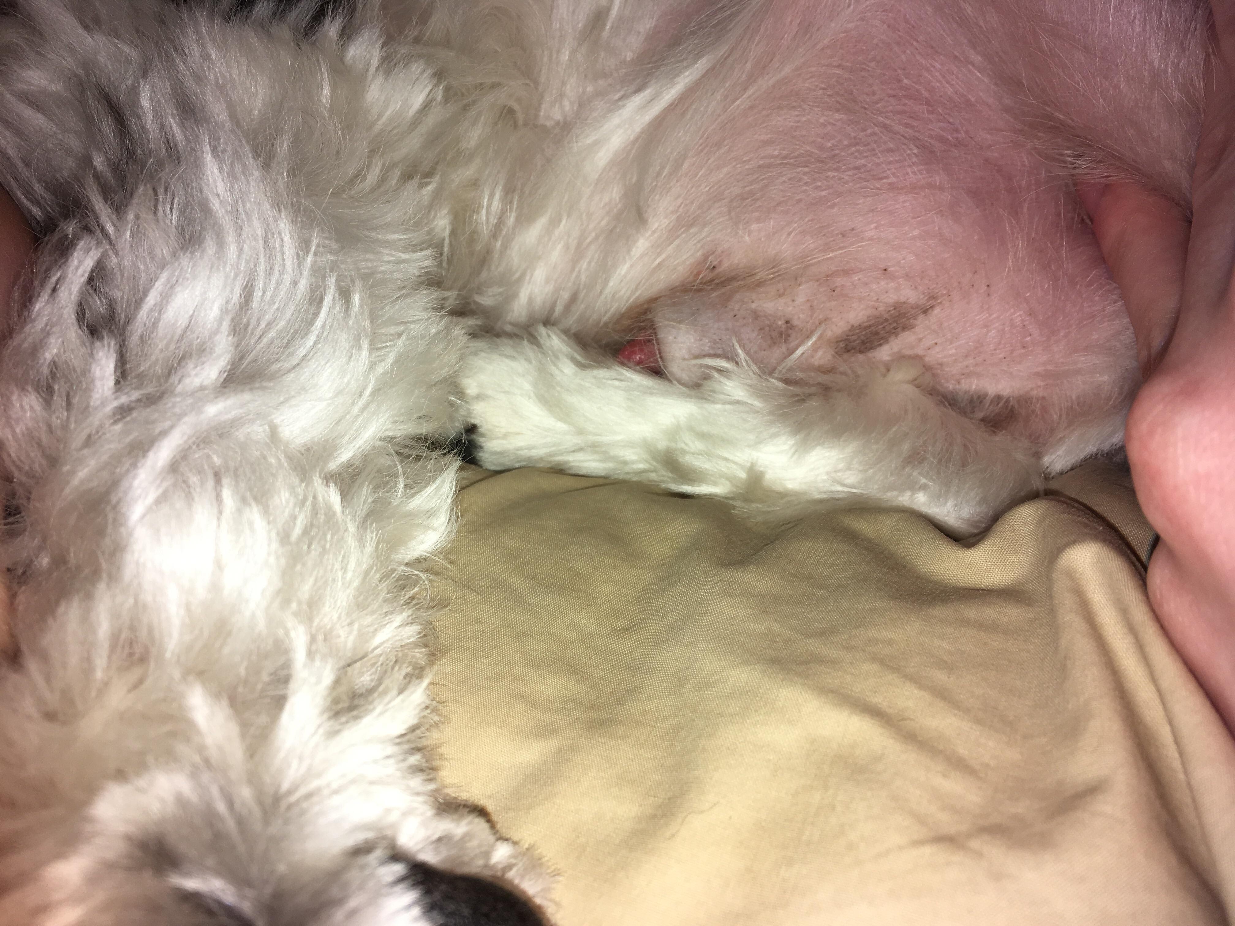 Question details sensitive content