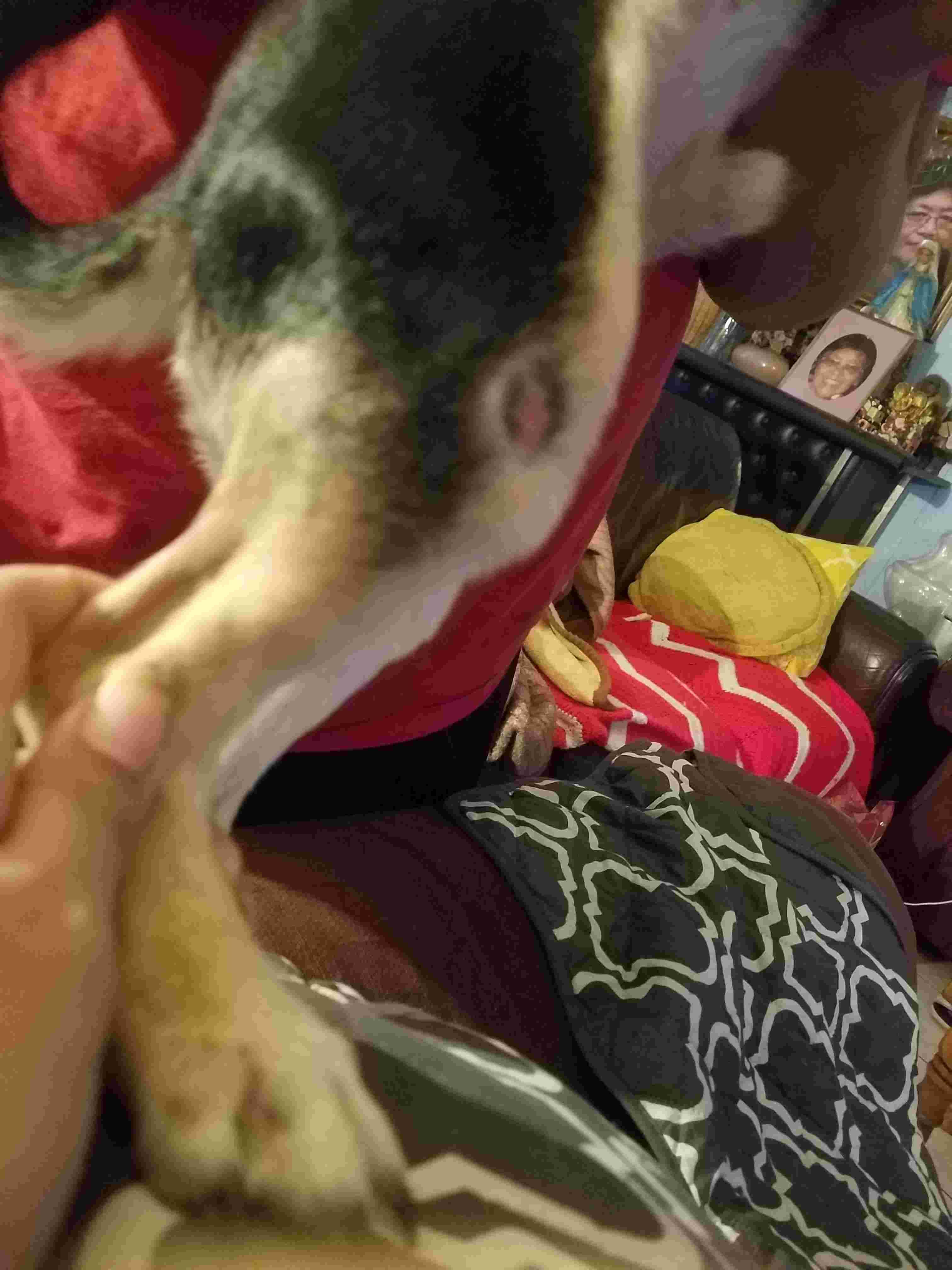 Question details sensitive content