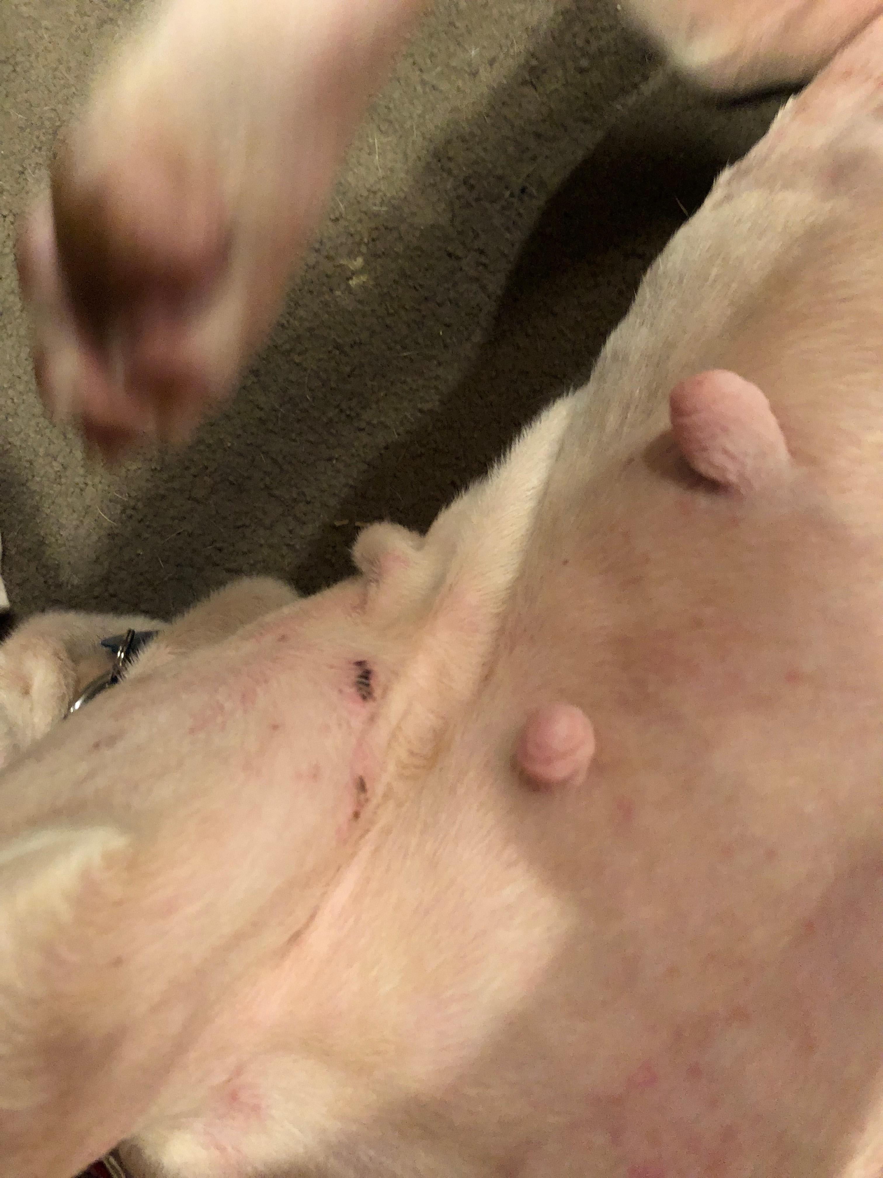 Question details sensitive content