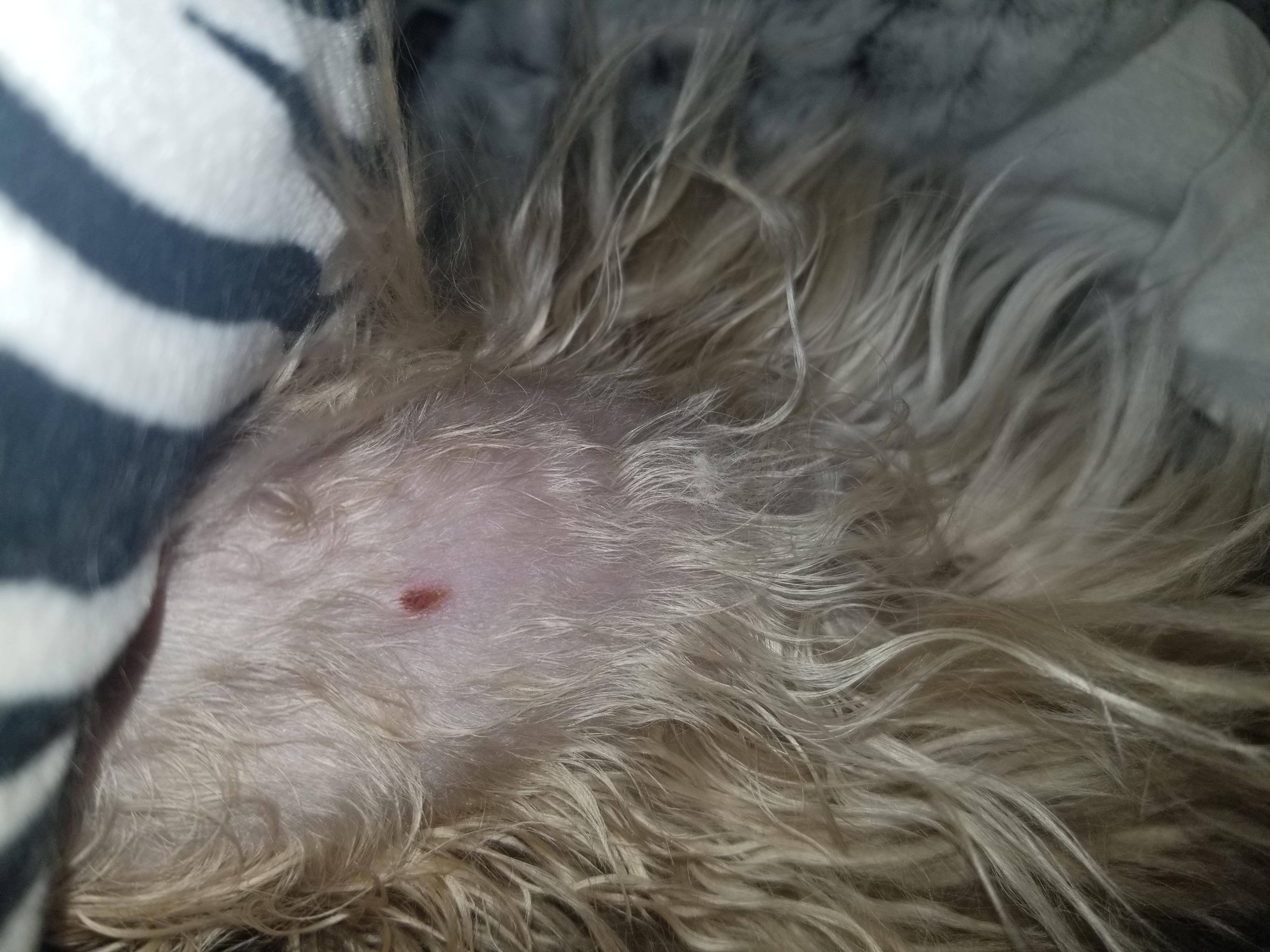 Question details sensitive content