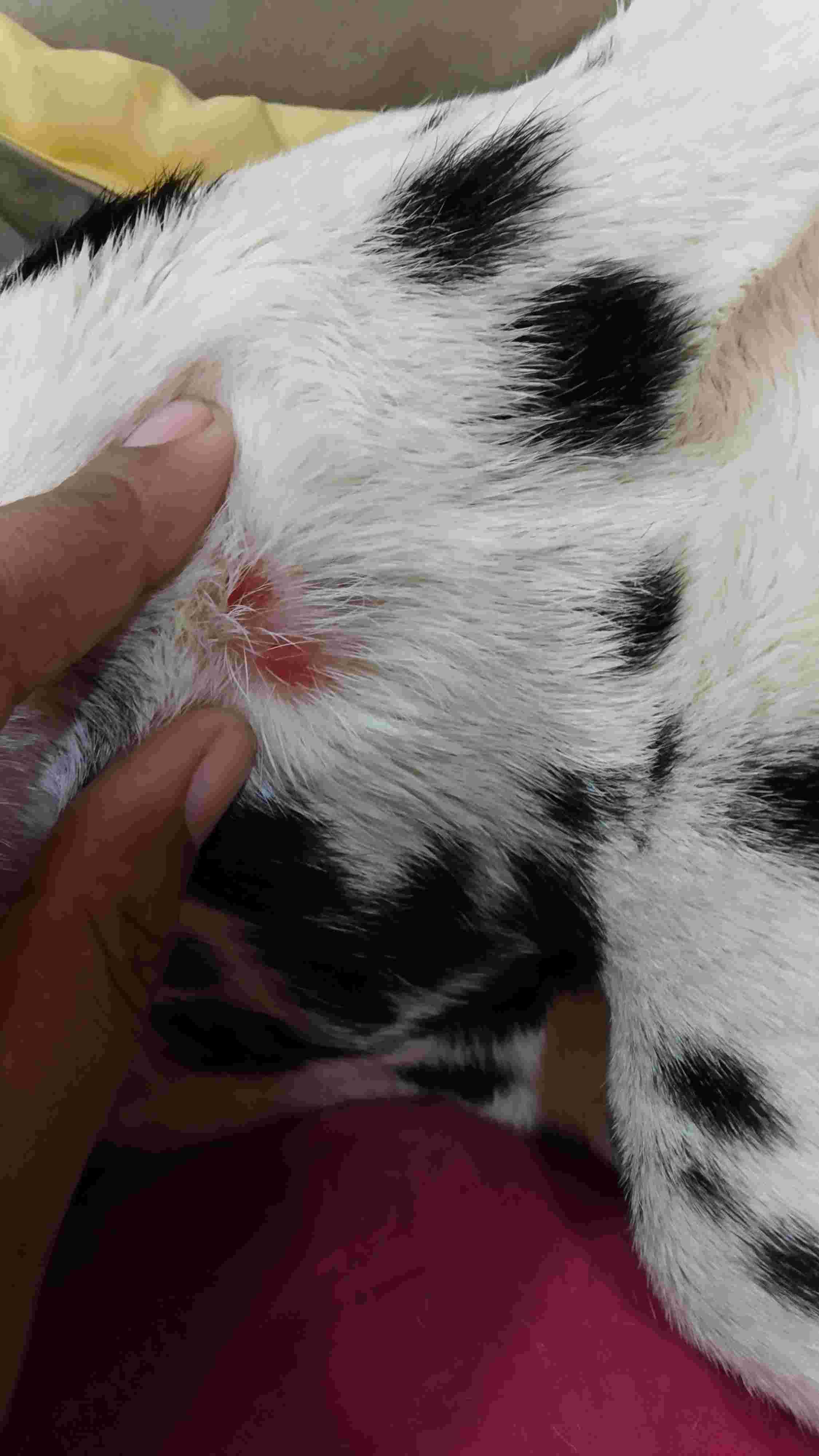 Question details sensitive content