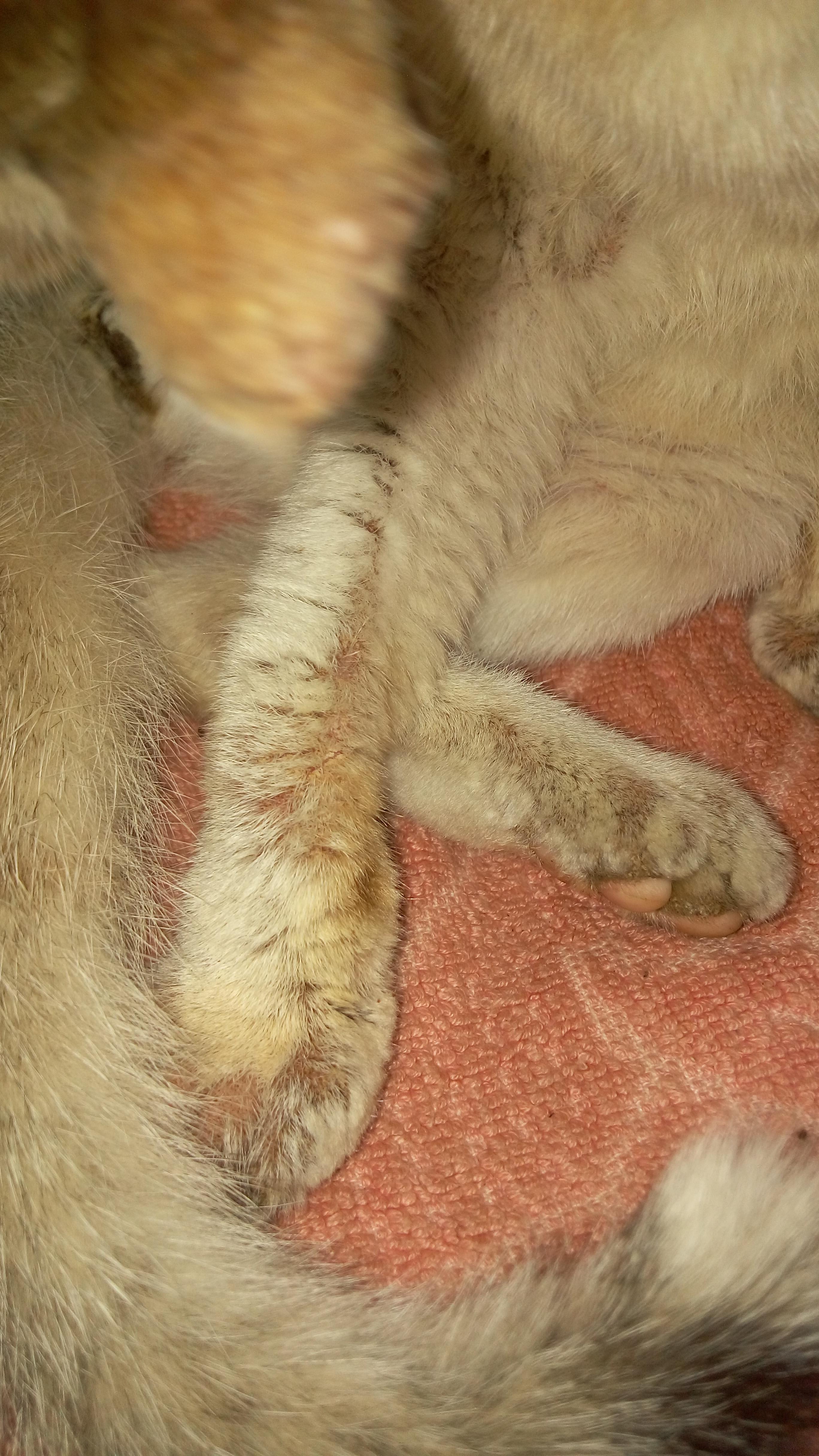 Question details sensitive content