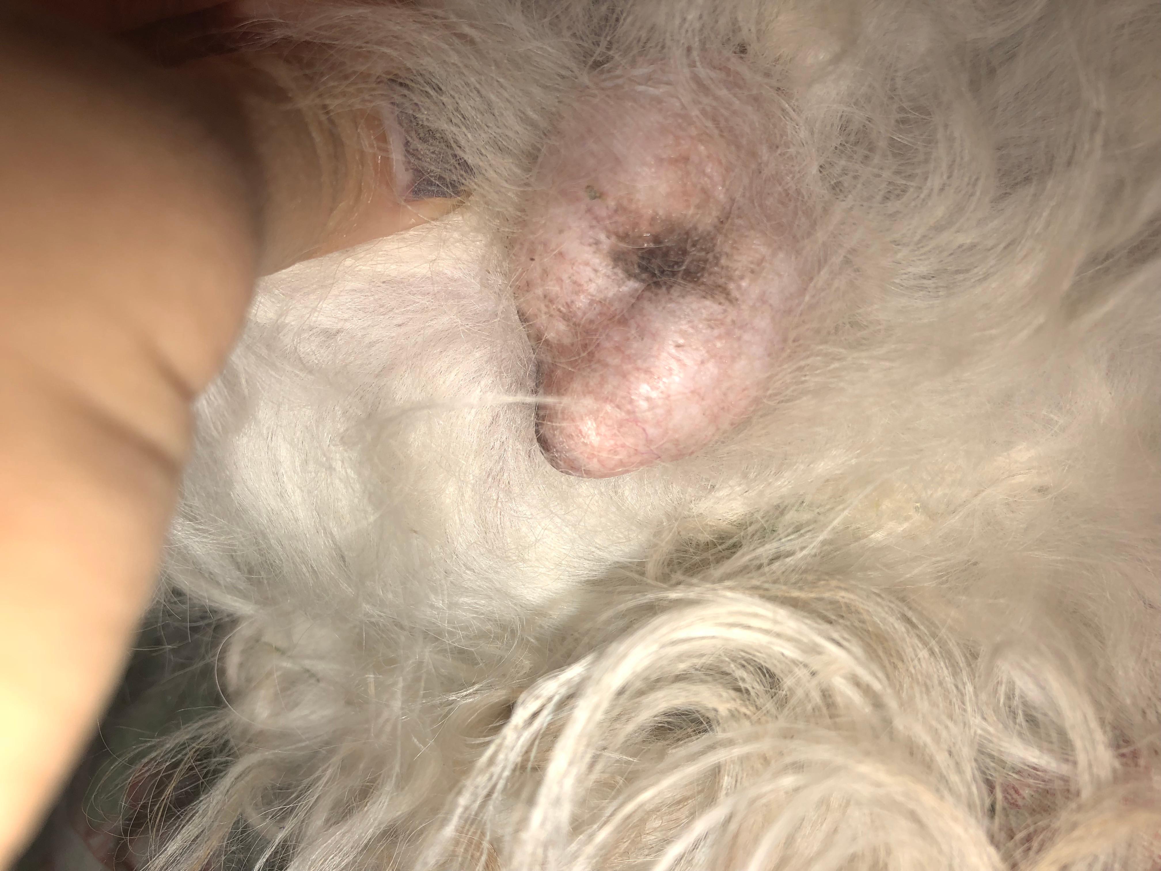 Question details sensitive content