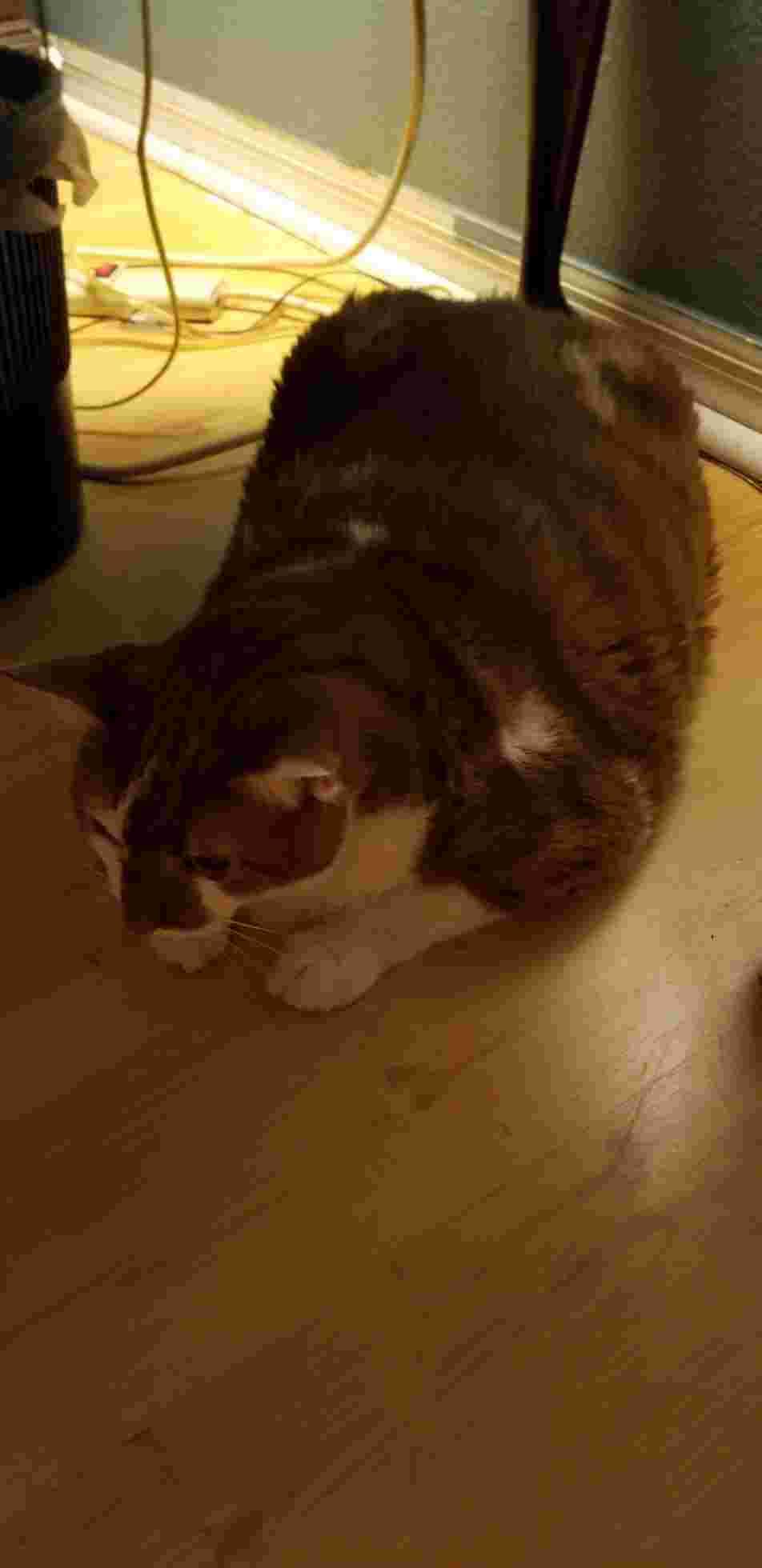 Question details sensitive content