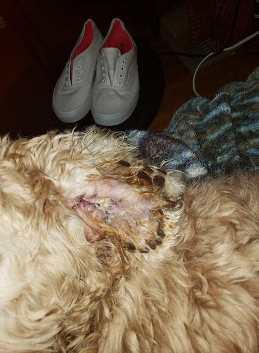 Question details sensitive content