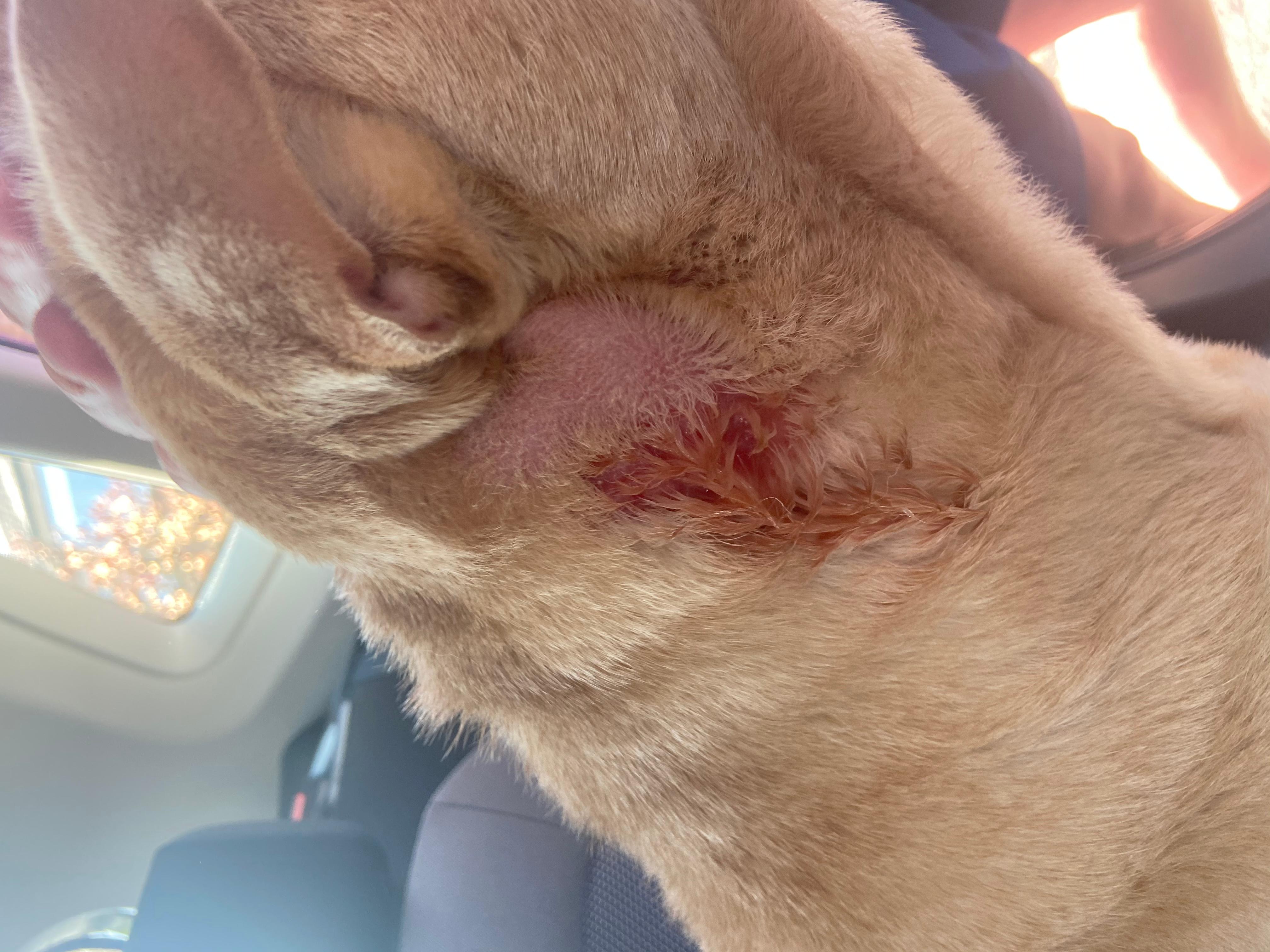 Question details sensitive content