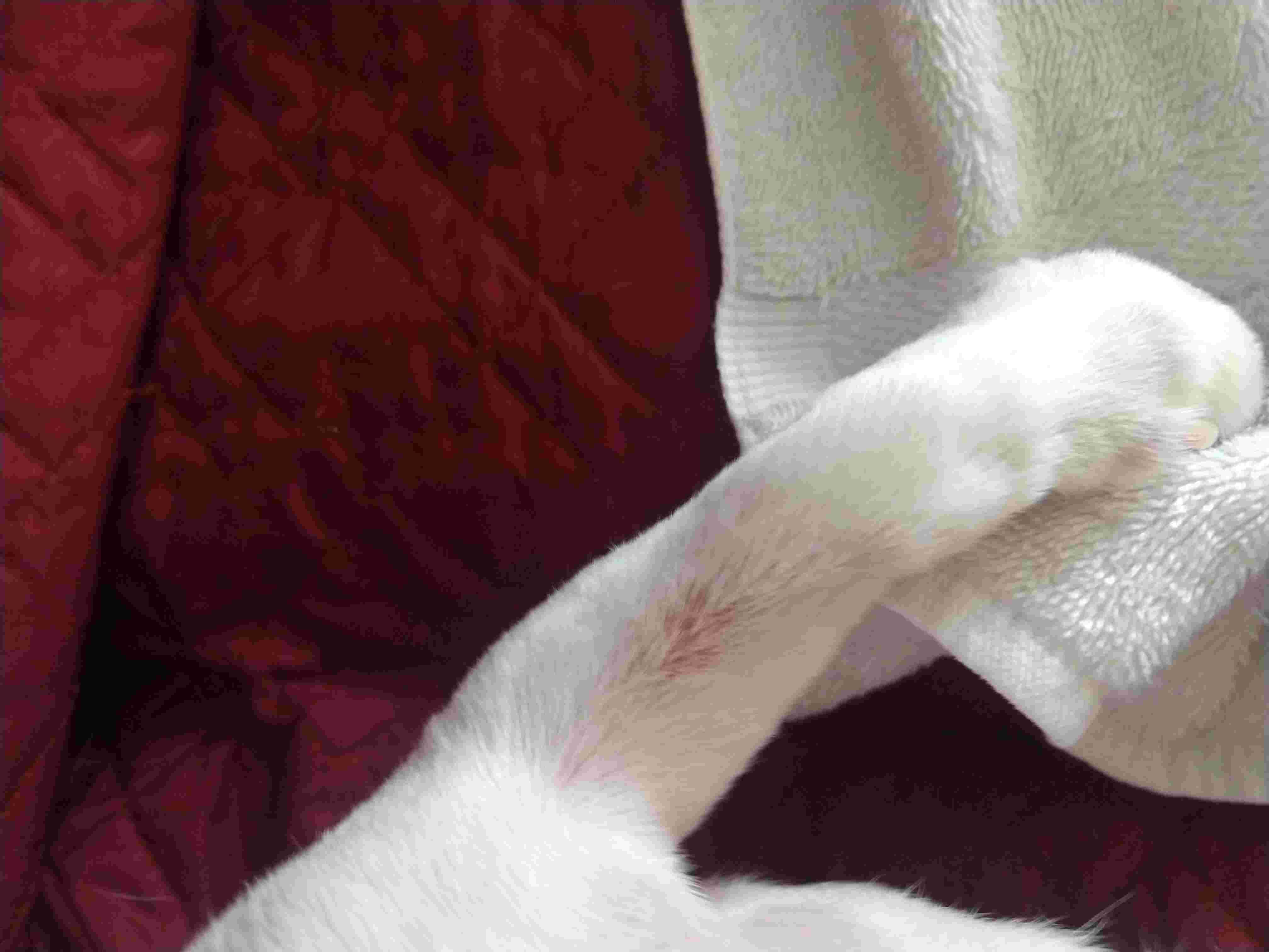 Question details sensitive content