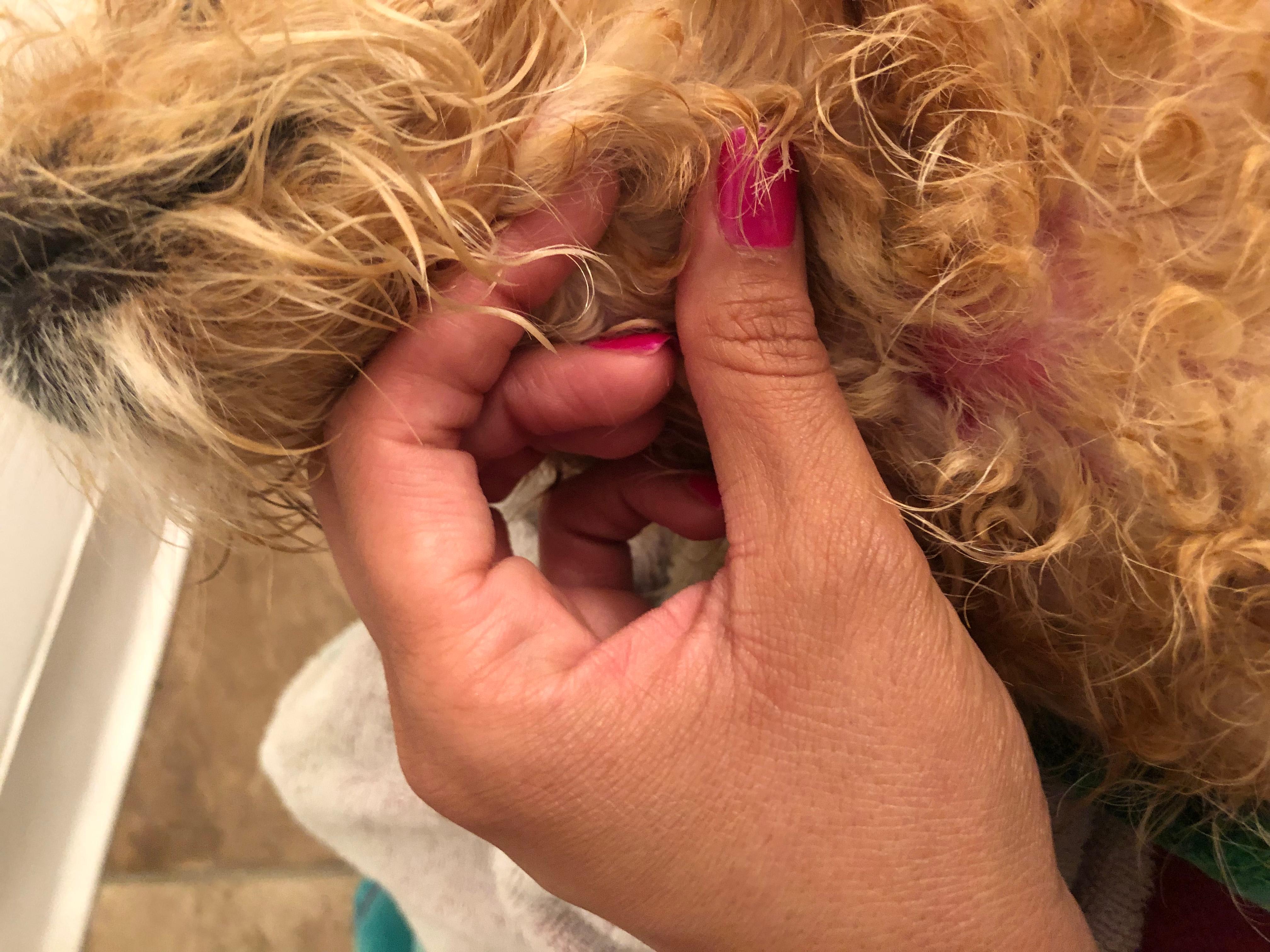 Question details sensitive content