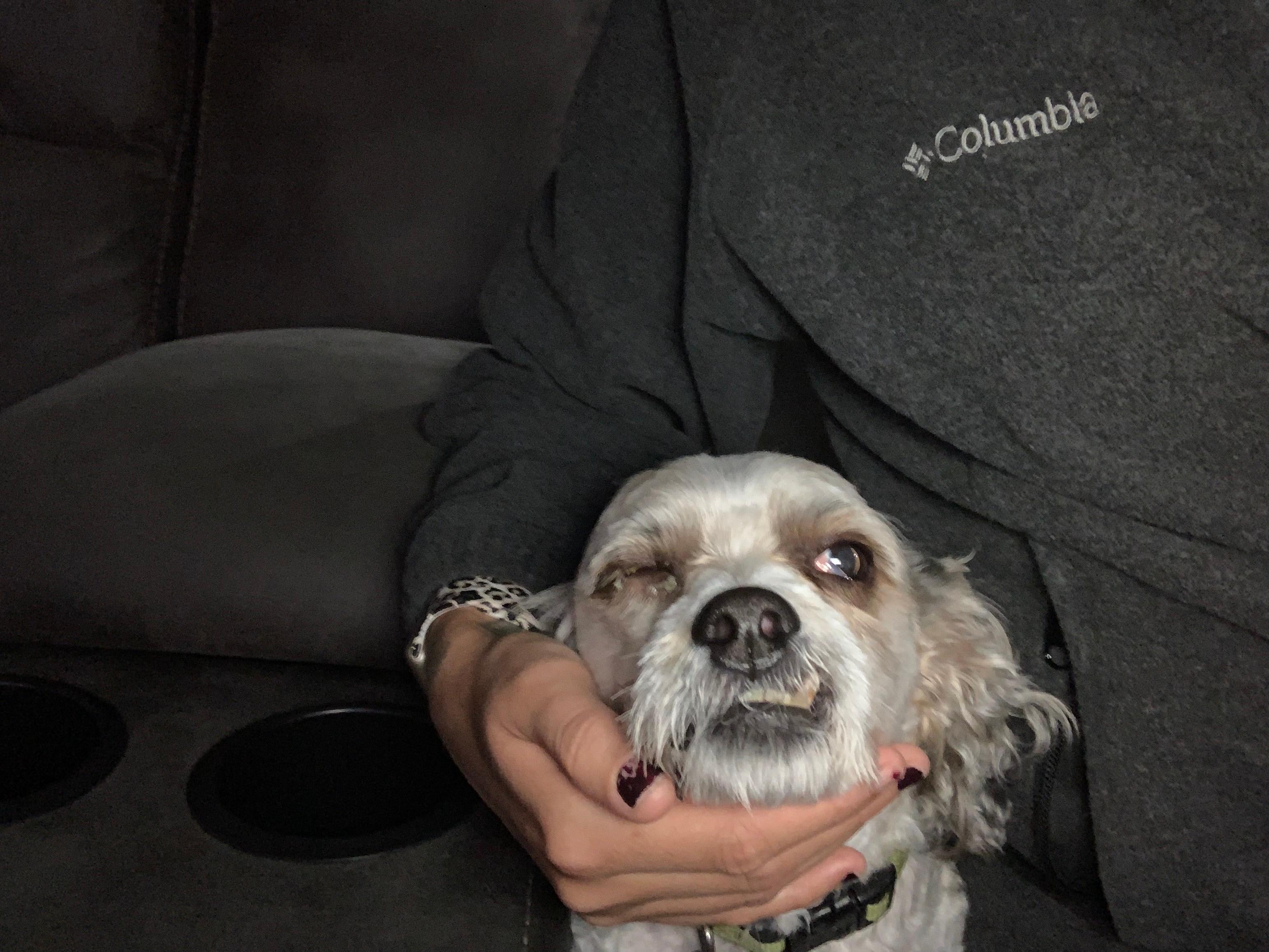 Question details sensitive content