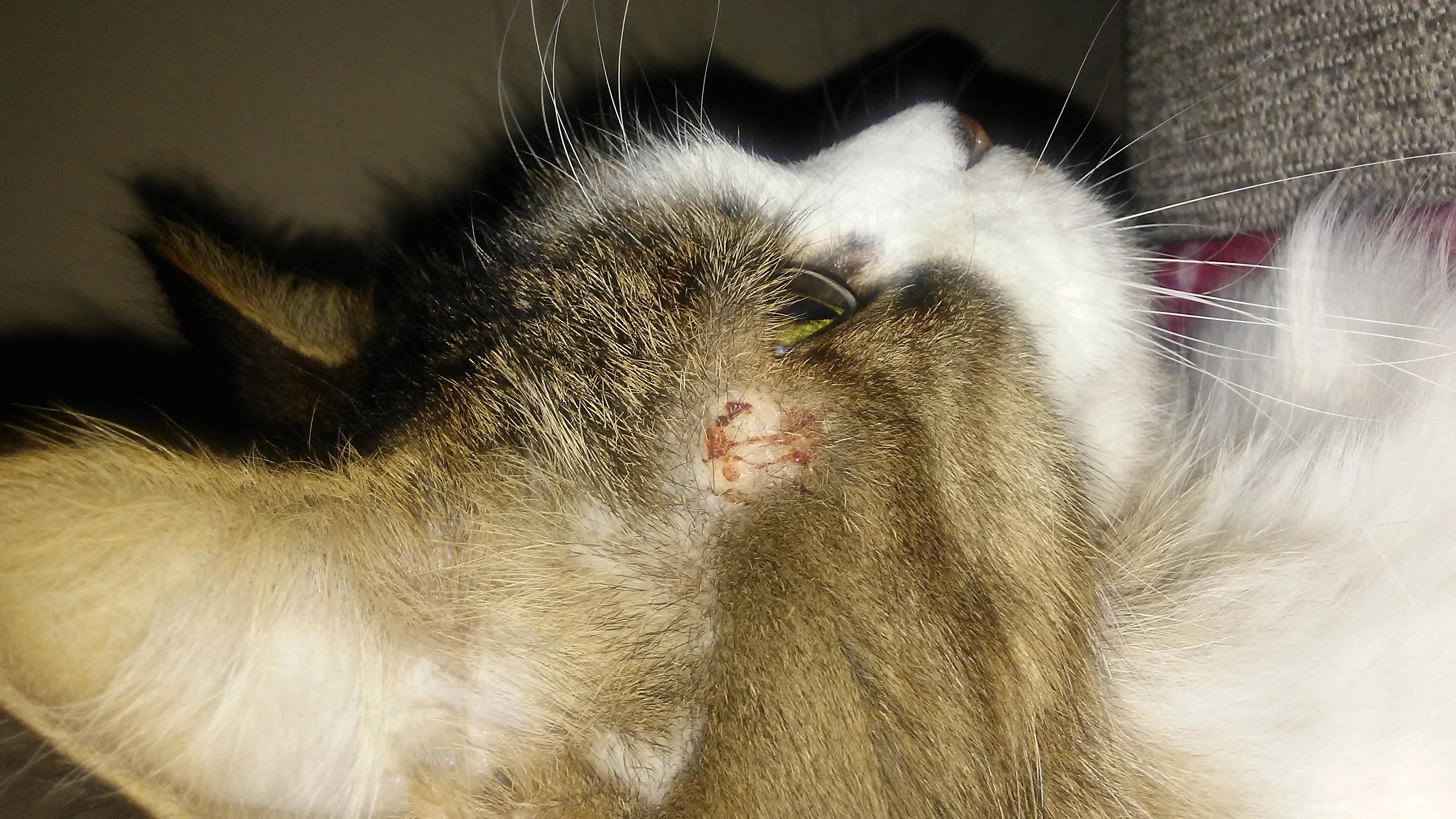 Question details sensitive content