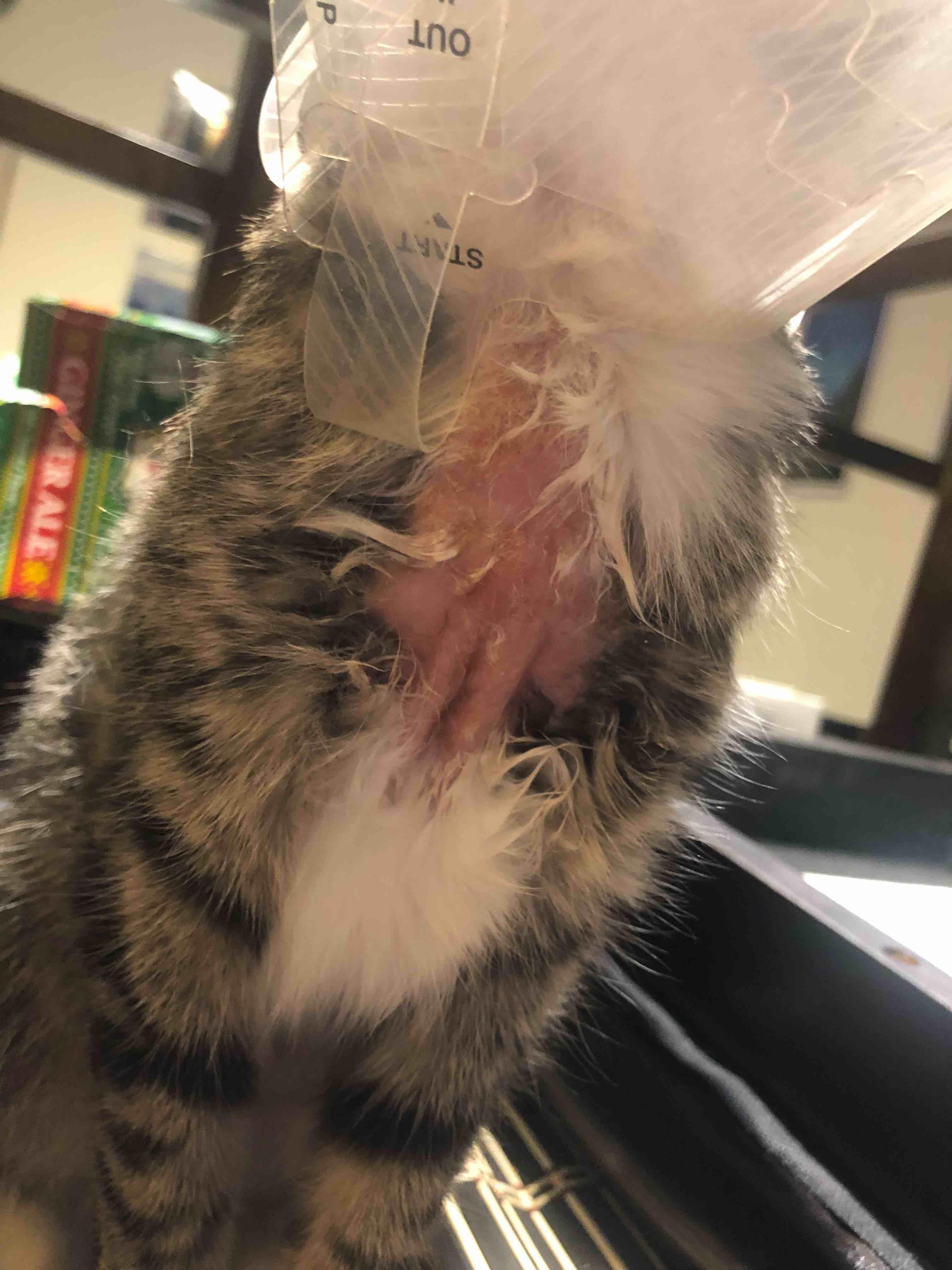 Question details sensitive content