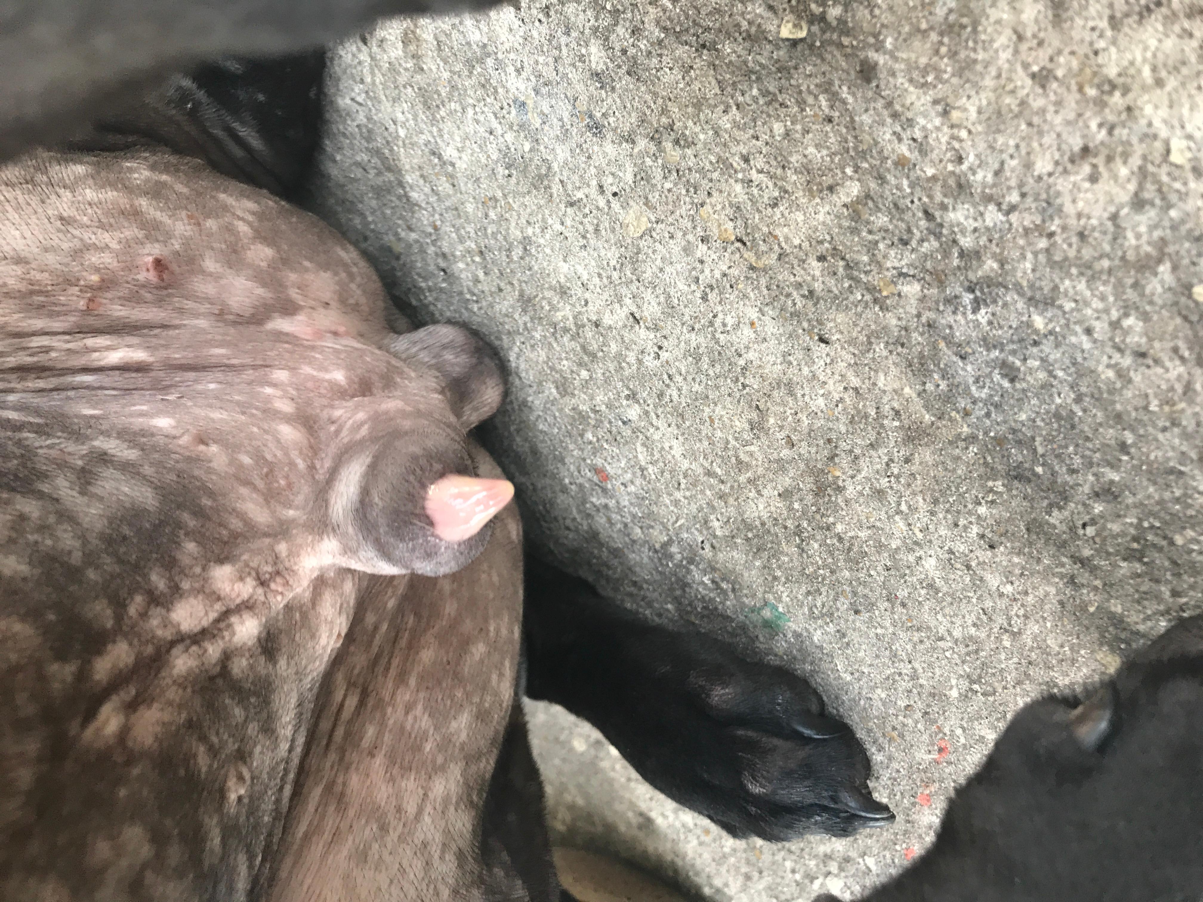 Question details sensitive content