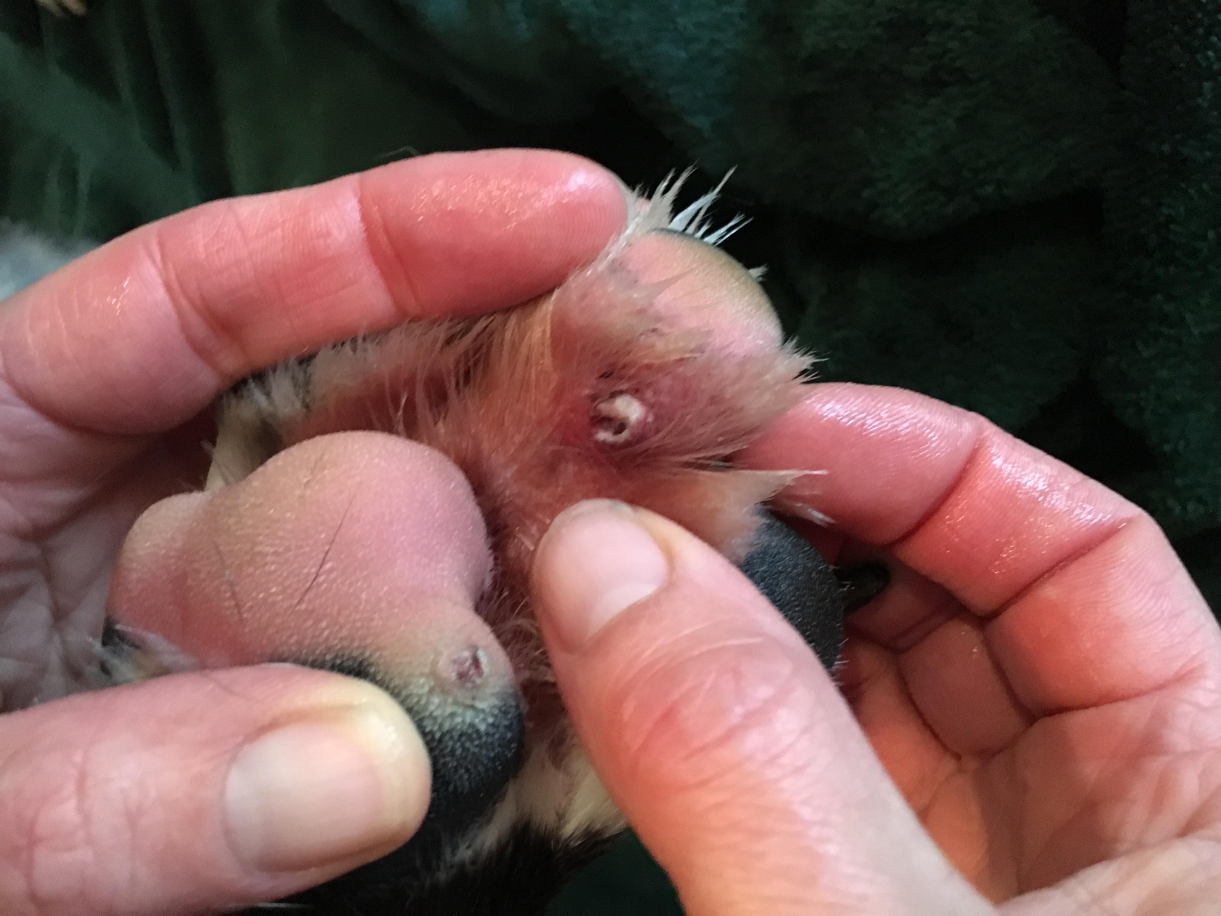 Question details sensitive content