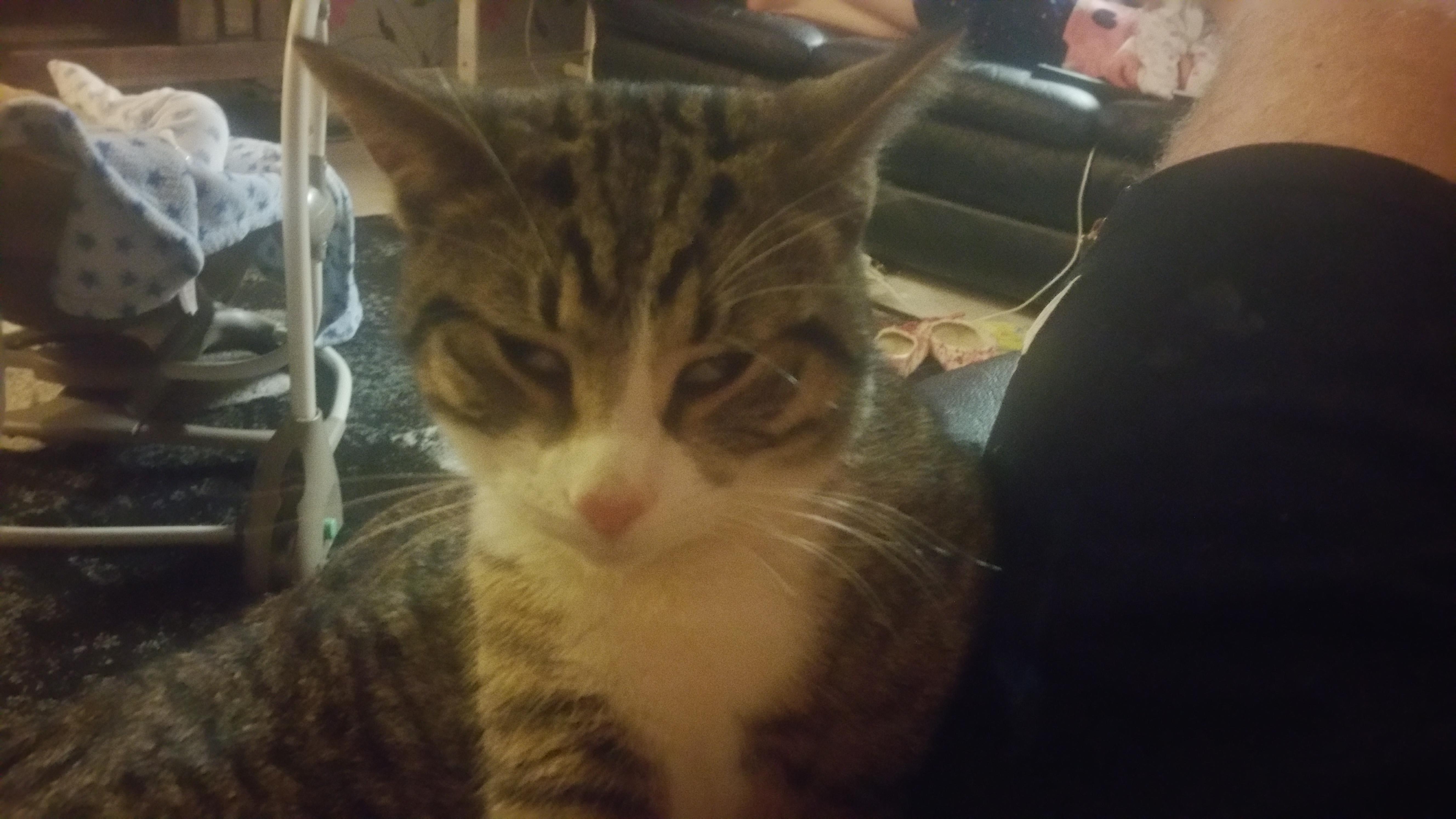 Question details sensitive content