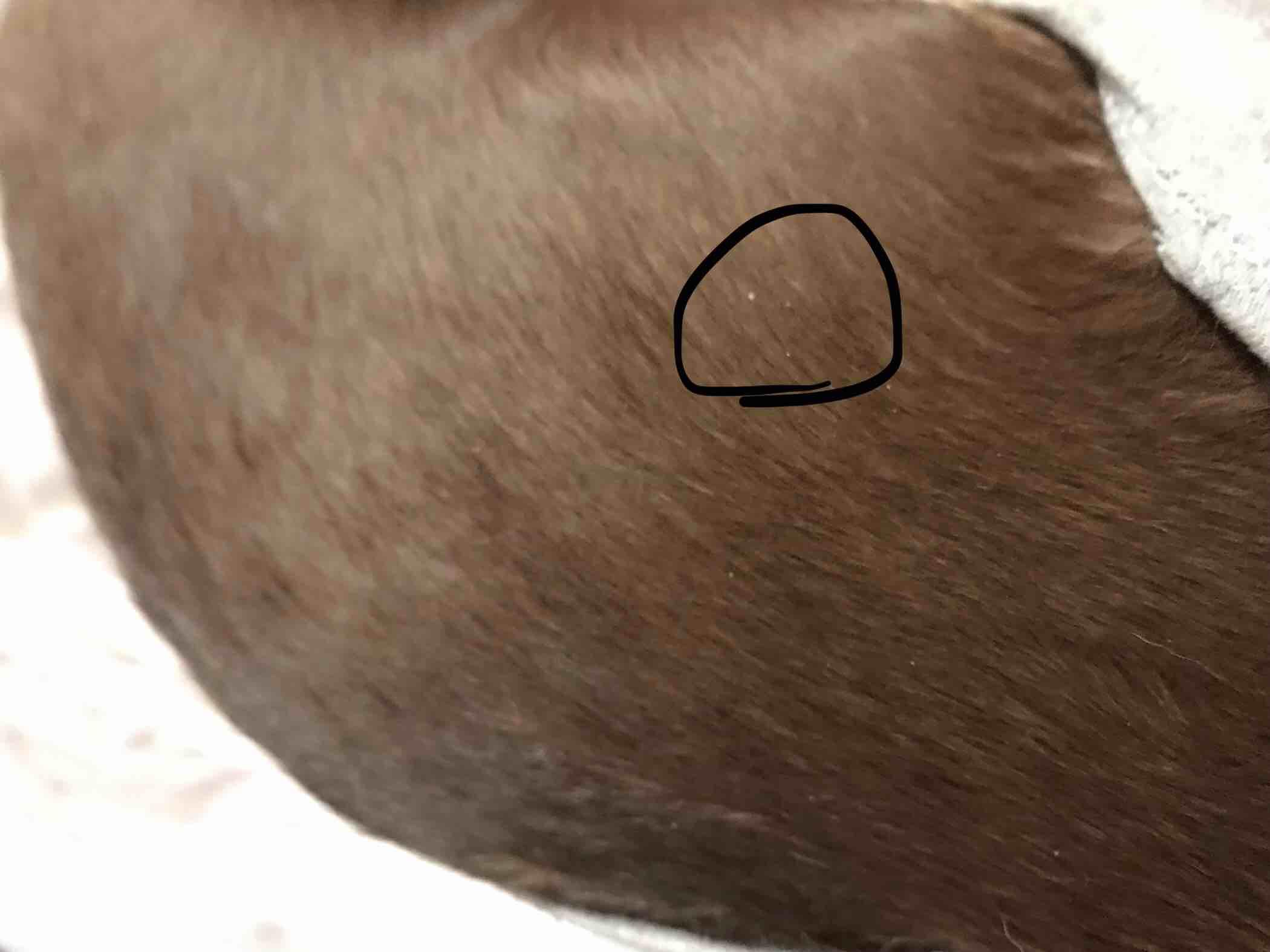 Question details sensitive content